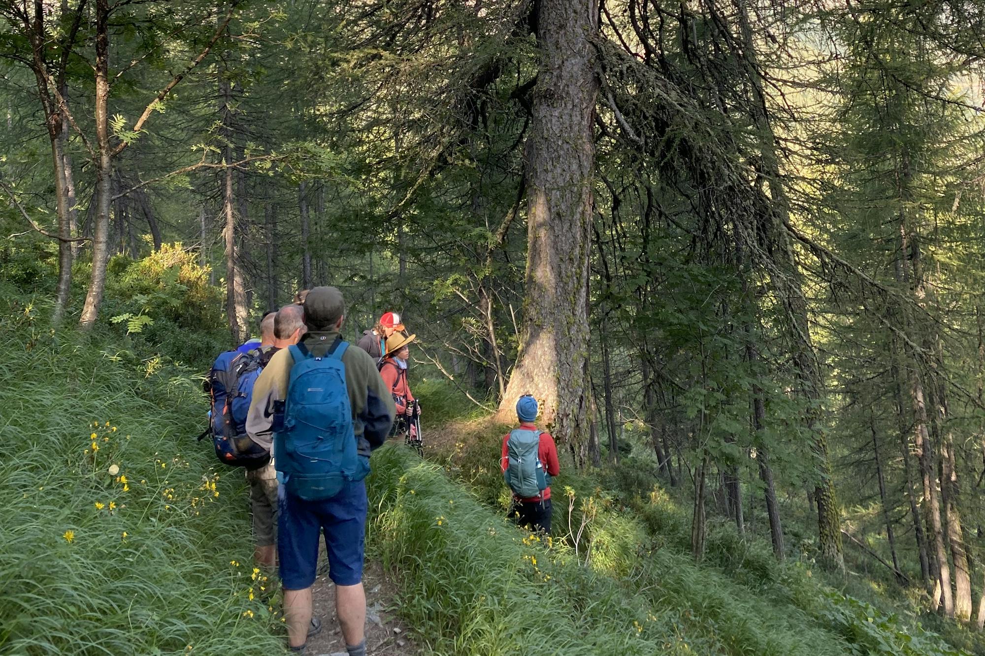 media_AAY7UXAXWNJCT5MD