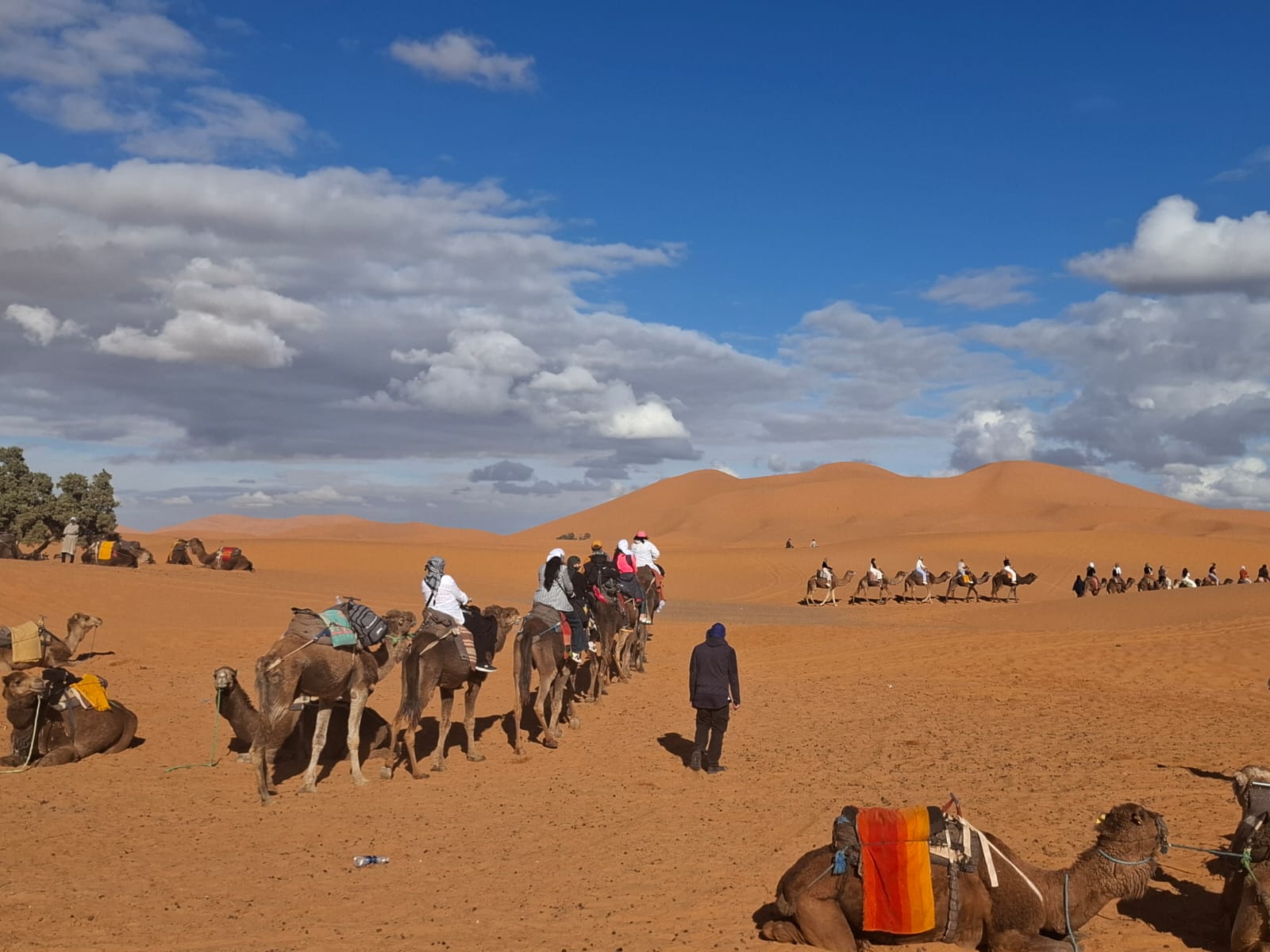 media_YEQL6FMMHS4YY7C3