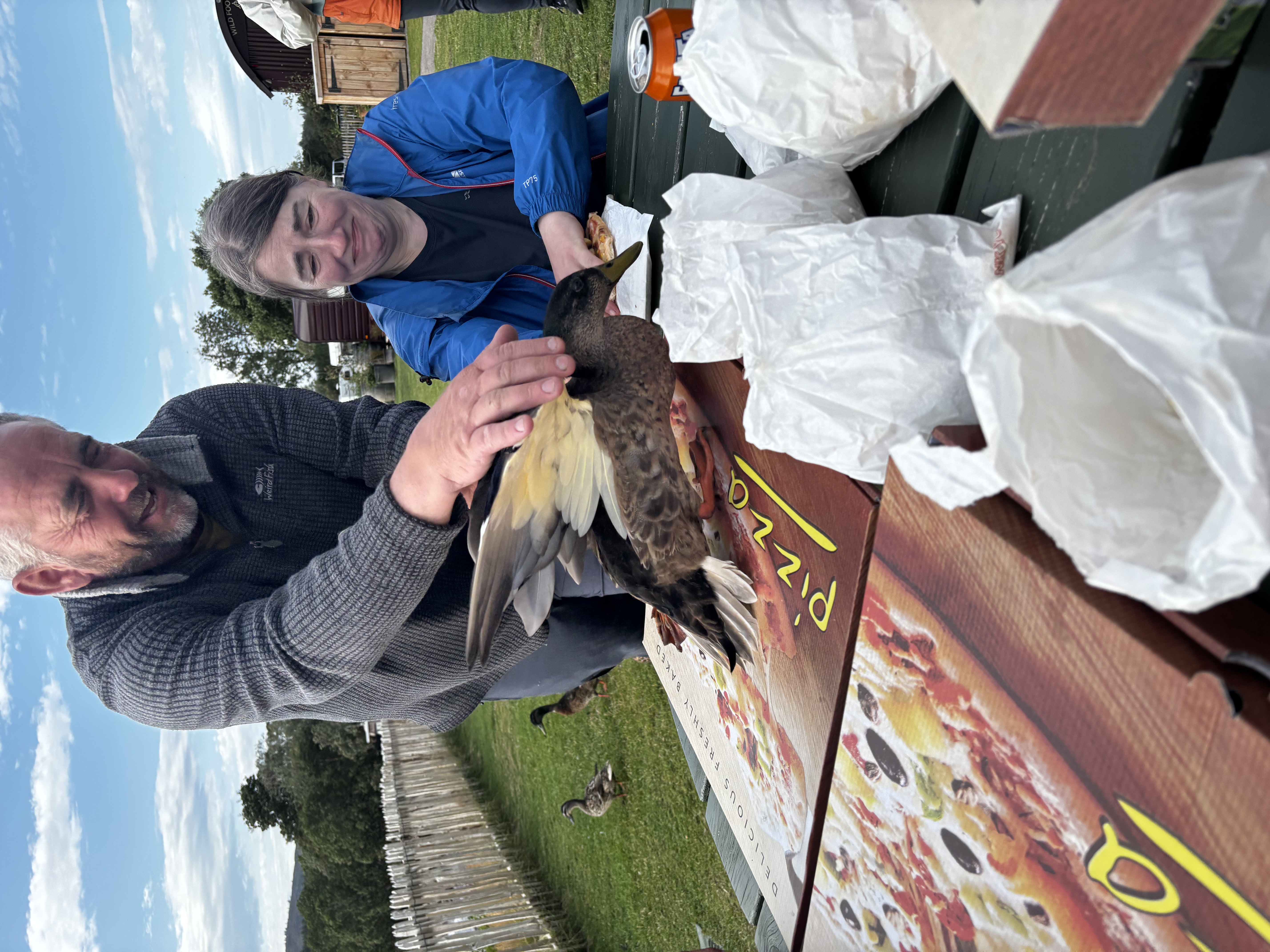 media_QQAP8QLT7325WCAZ