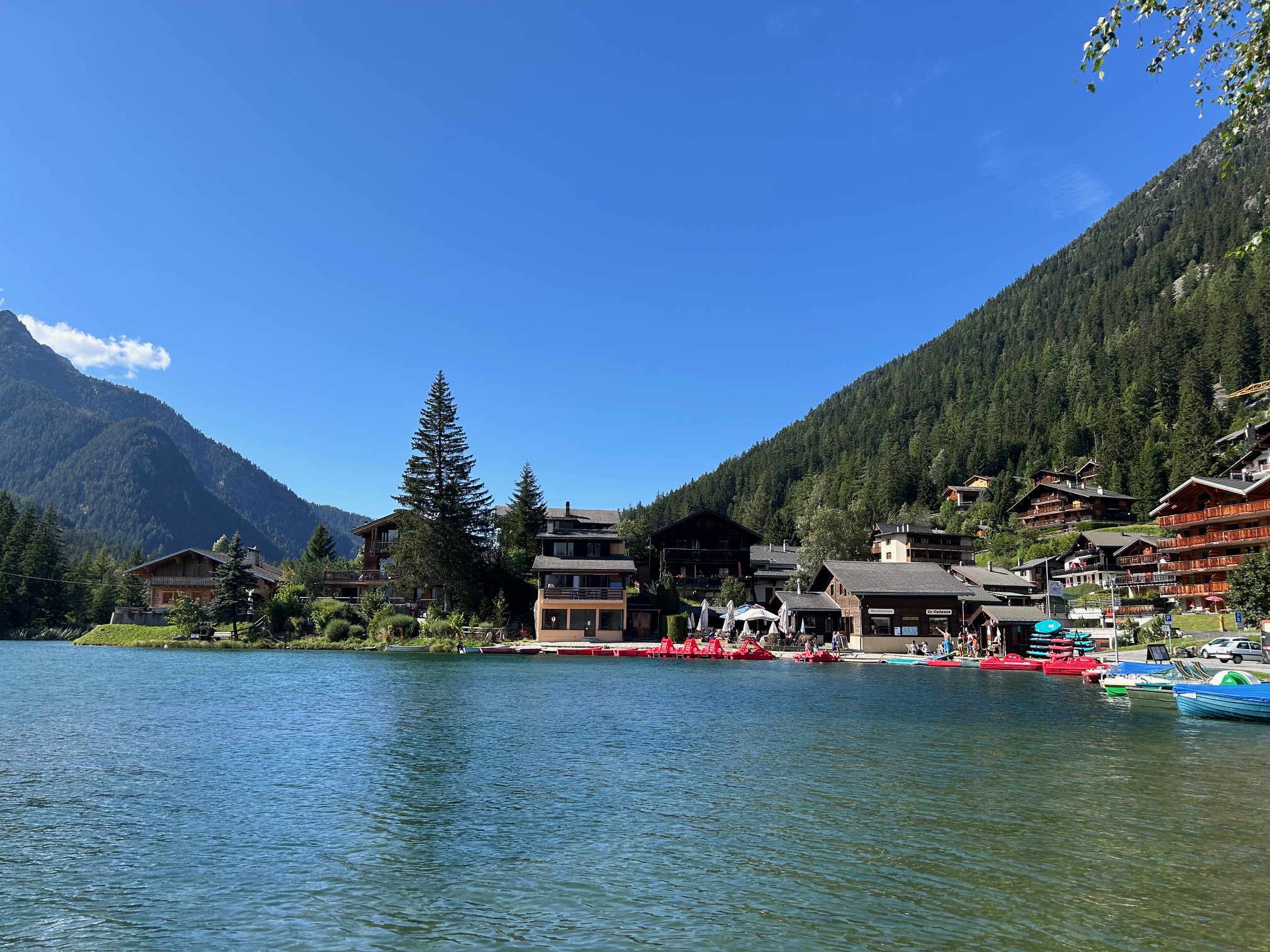 media_2KB7ZJ575MXLT296