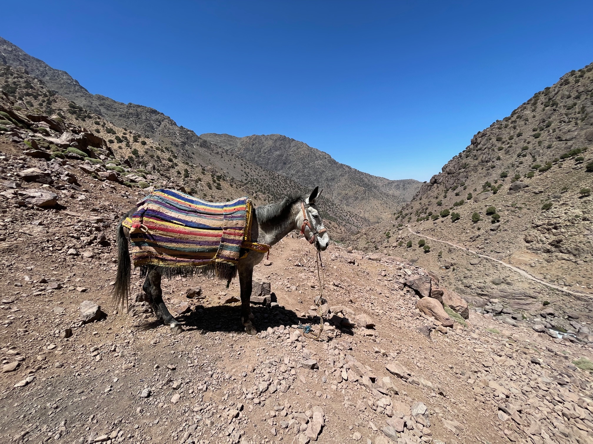 media_8KATSAFSR4EGK3L4