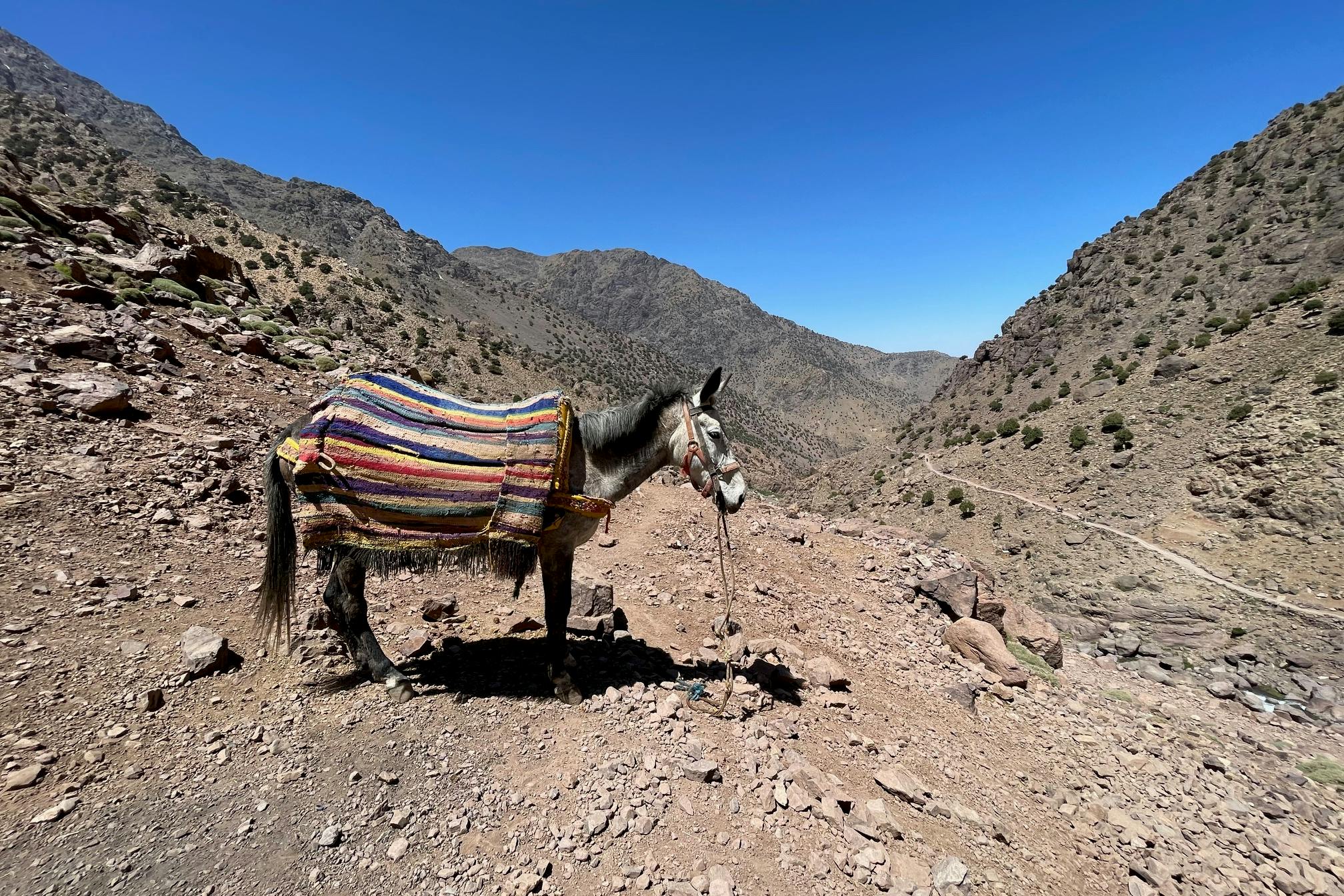 media_8KATSAFSR4EGK3L4