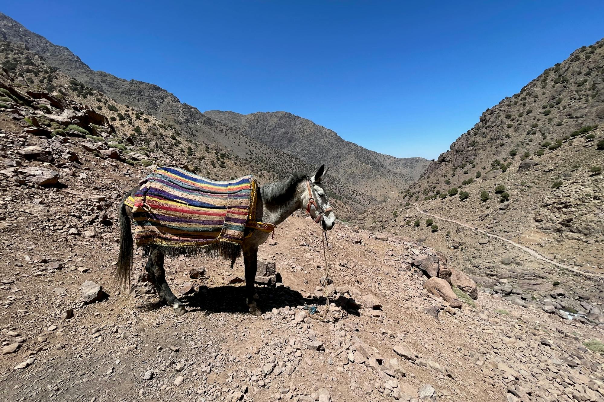 media_8KATSAFSR4EGK3L4