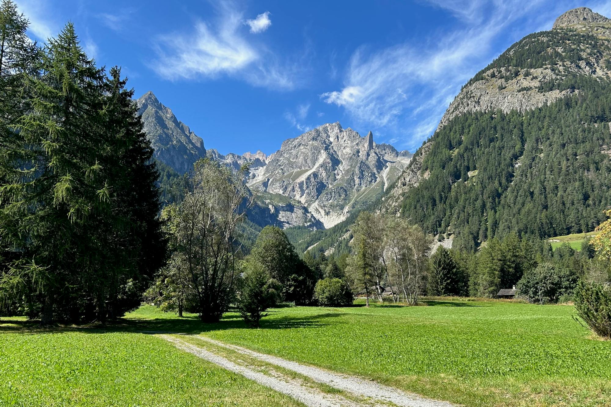 media_WZGL8PYFD32G9JFD