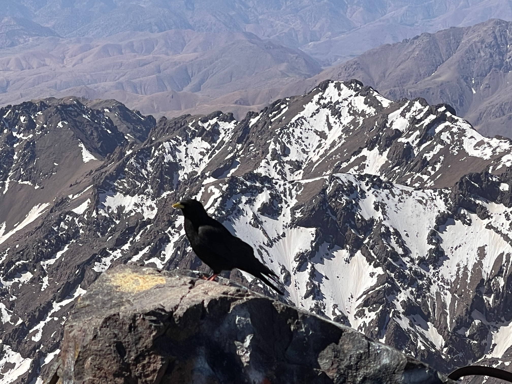 media_XMVC7UR647PR4286