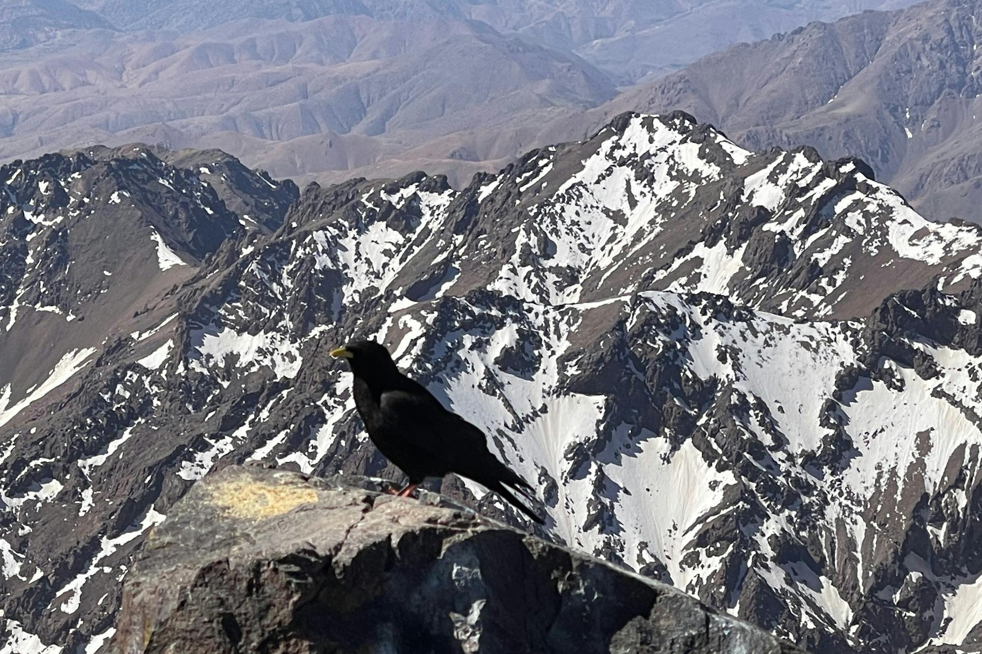 media_XMVC7UR647PR4286