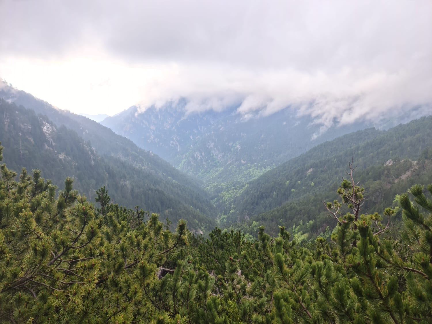 media_YK3LQHFEML27A5BL