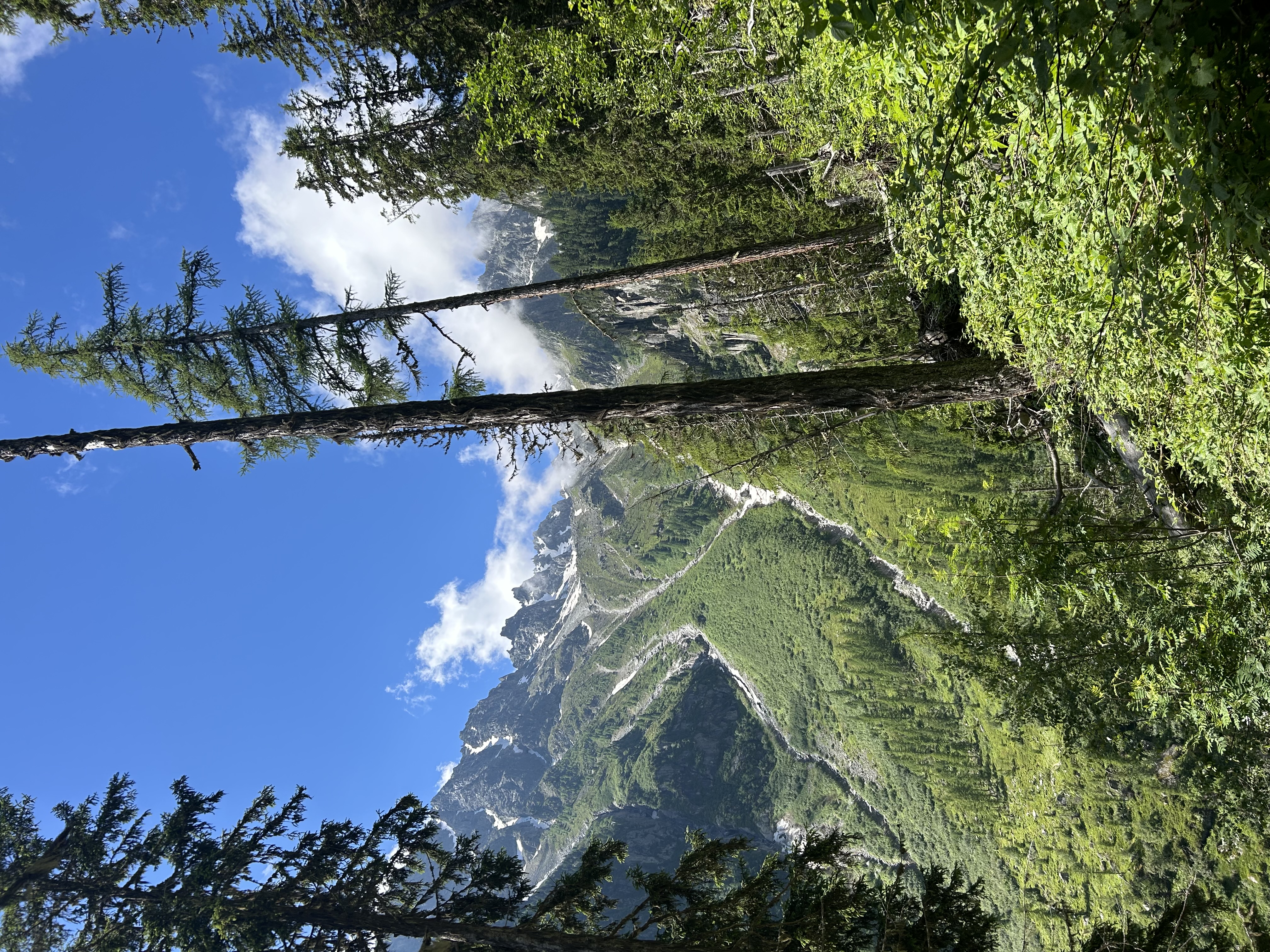 media_2SE9Q3UDM379TC2A