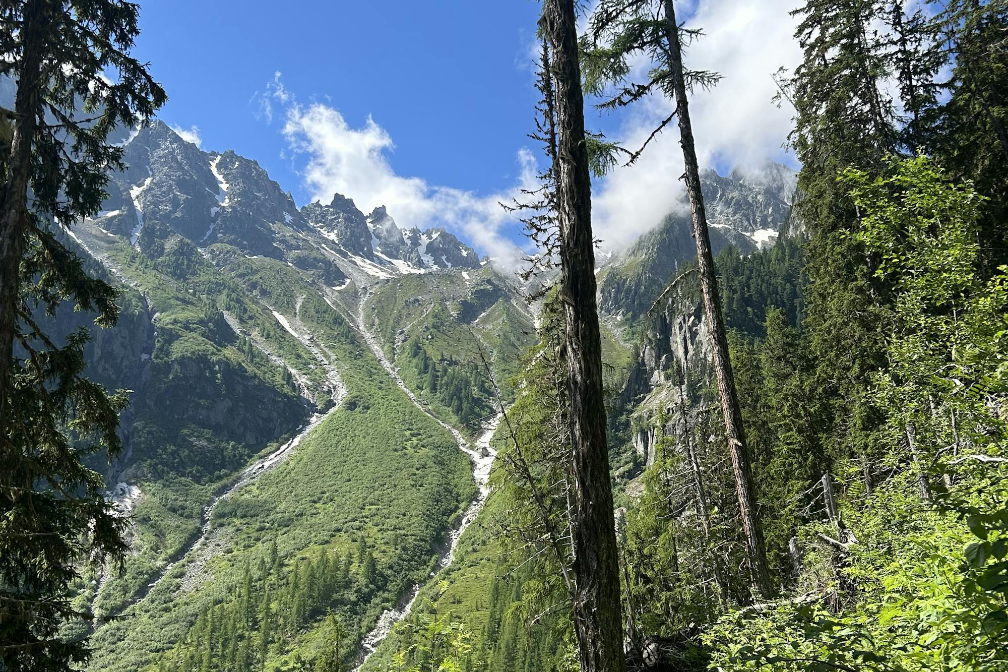 media_2SE9Q3UDM379TC2A