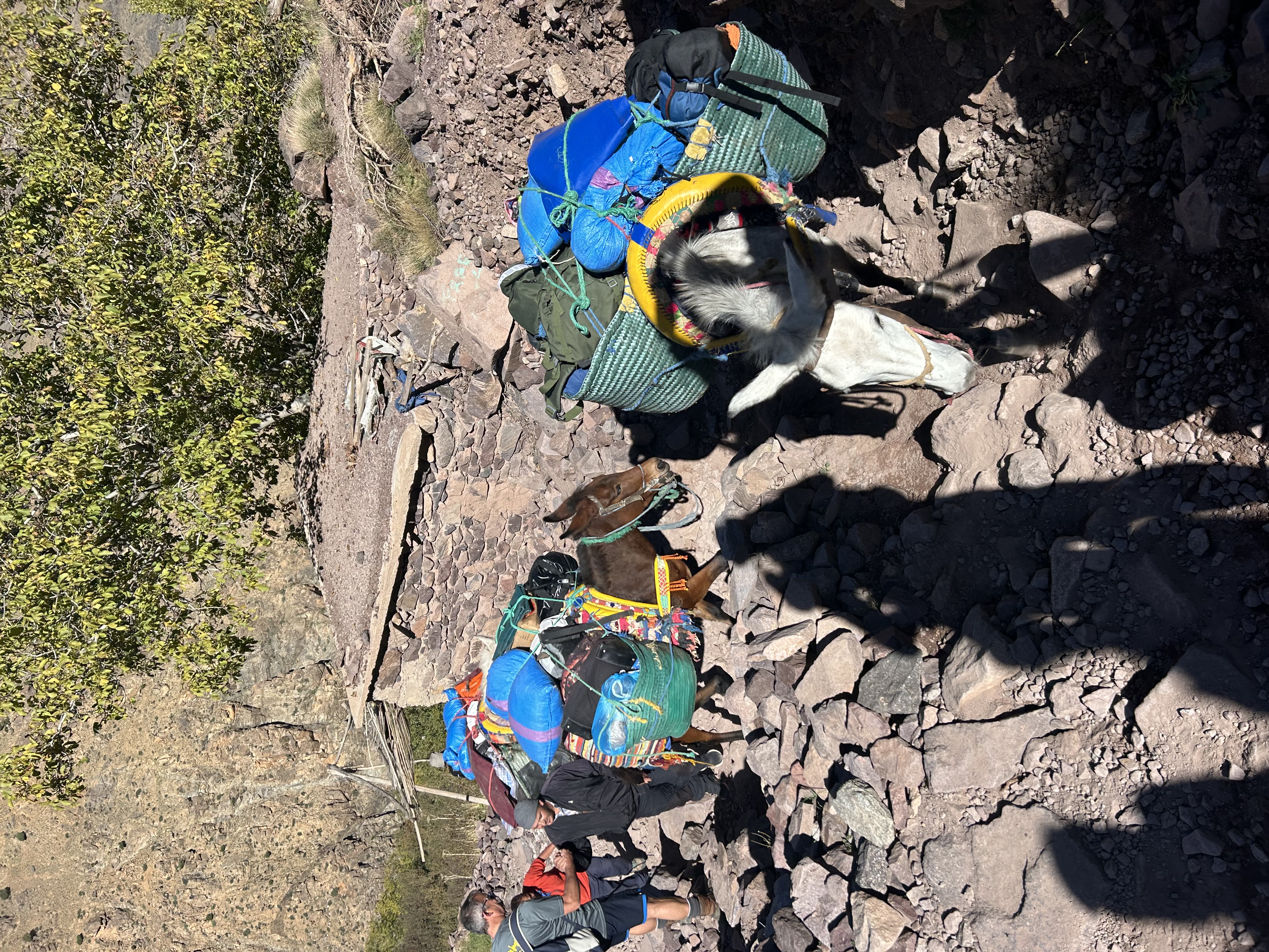 media_JMC7E7RH46JRRG9D