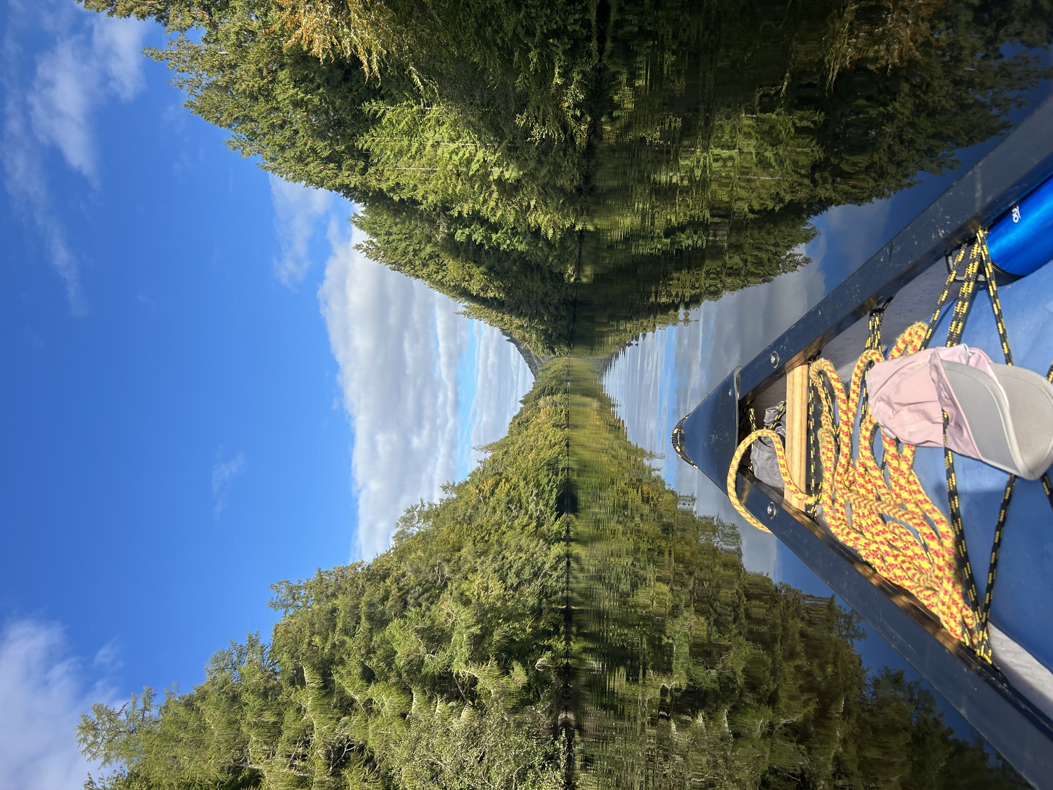 media_6WWPHUXE5JQ9QE7E