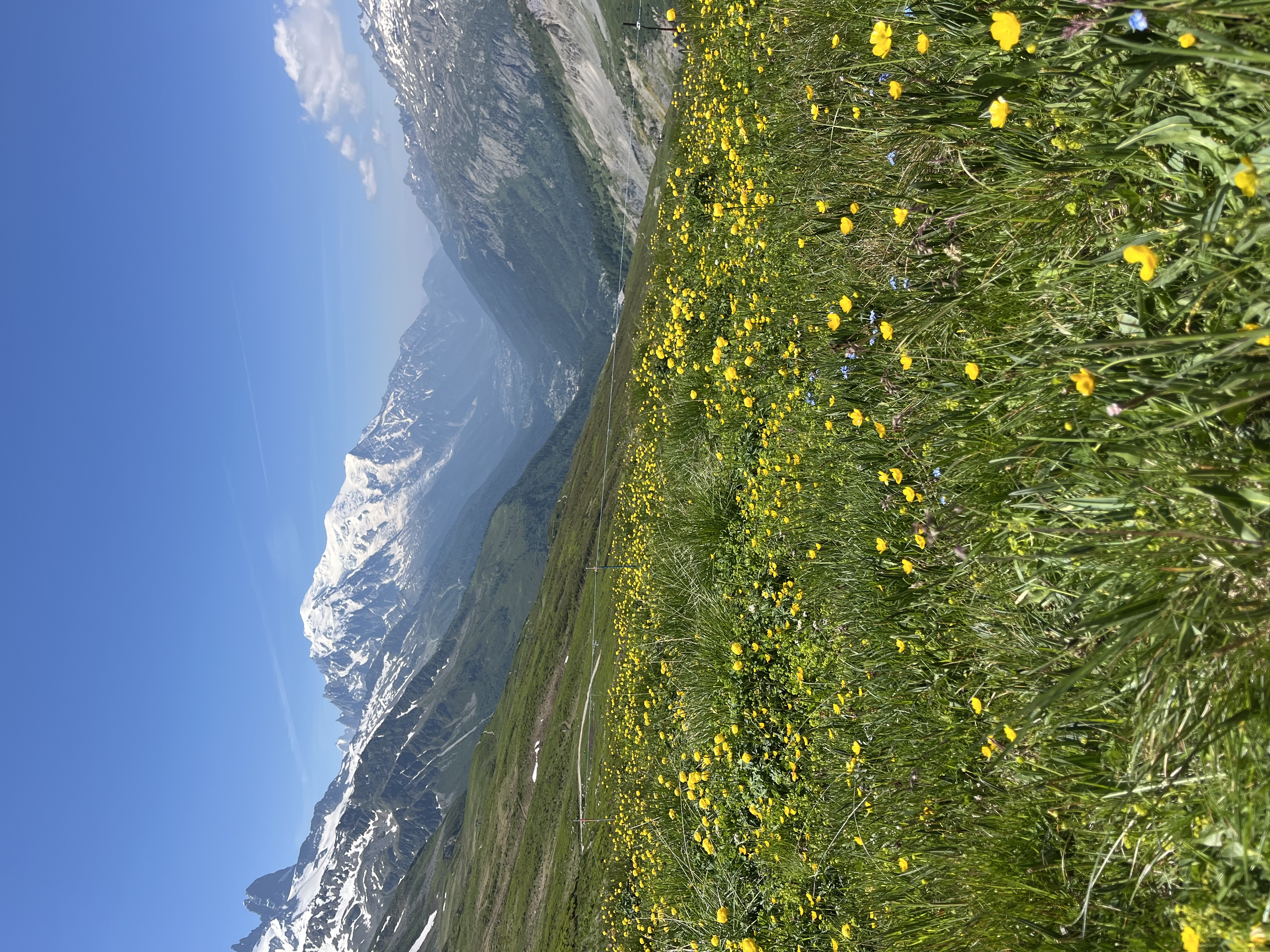 media_GUT2M5RW3N2VLW8E