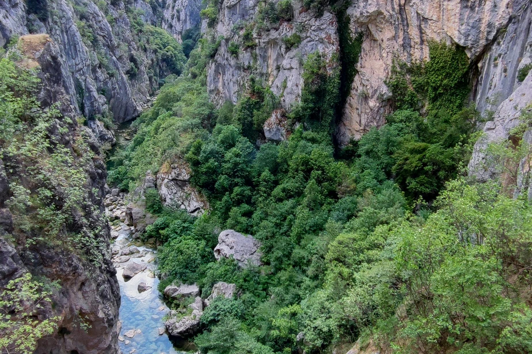 media_9XWQE9NQ78RZ3BLQ