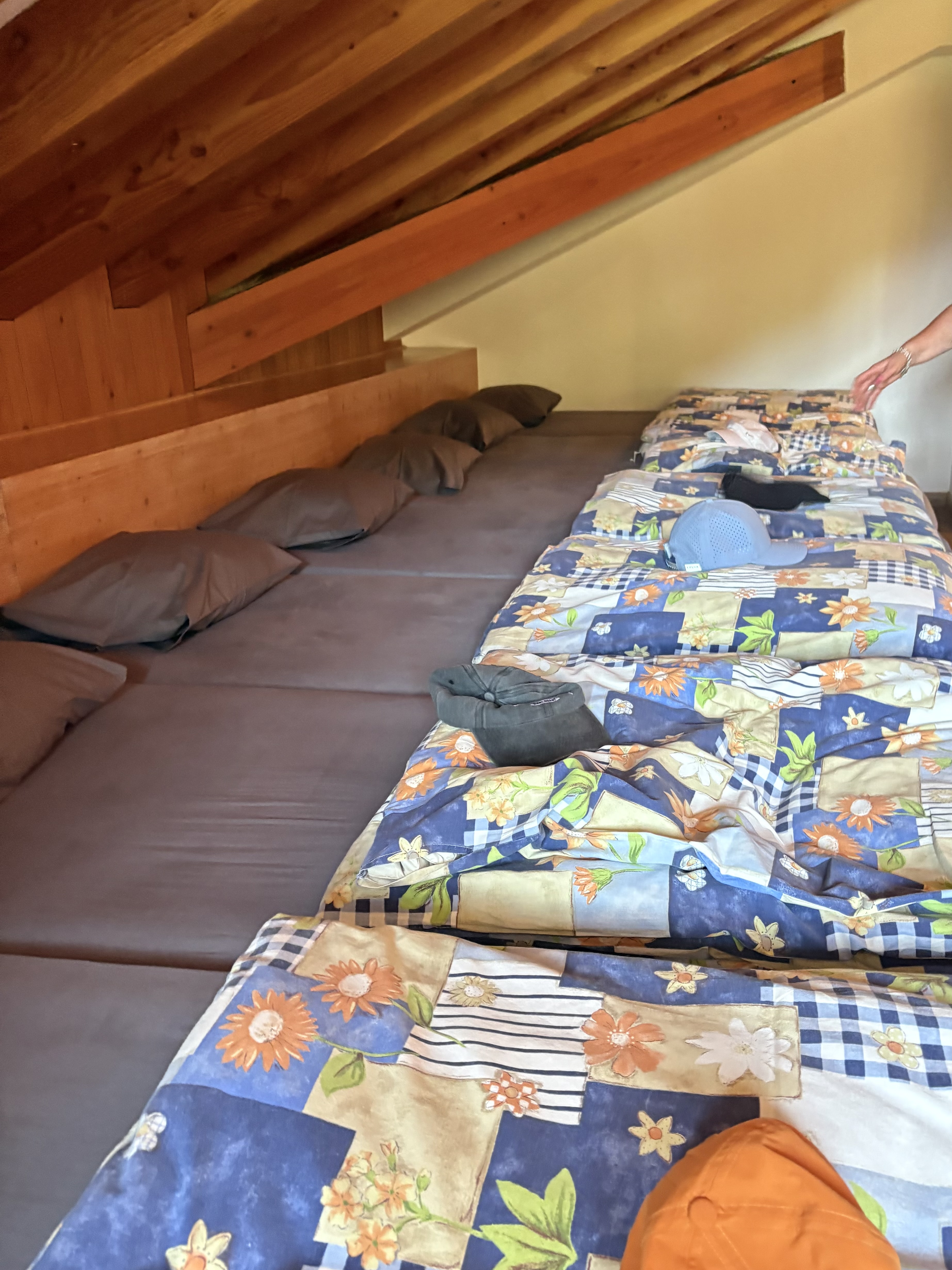 media_SBJ7G8QB2QS88GNS