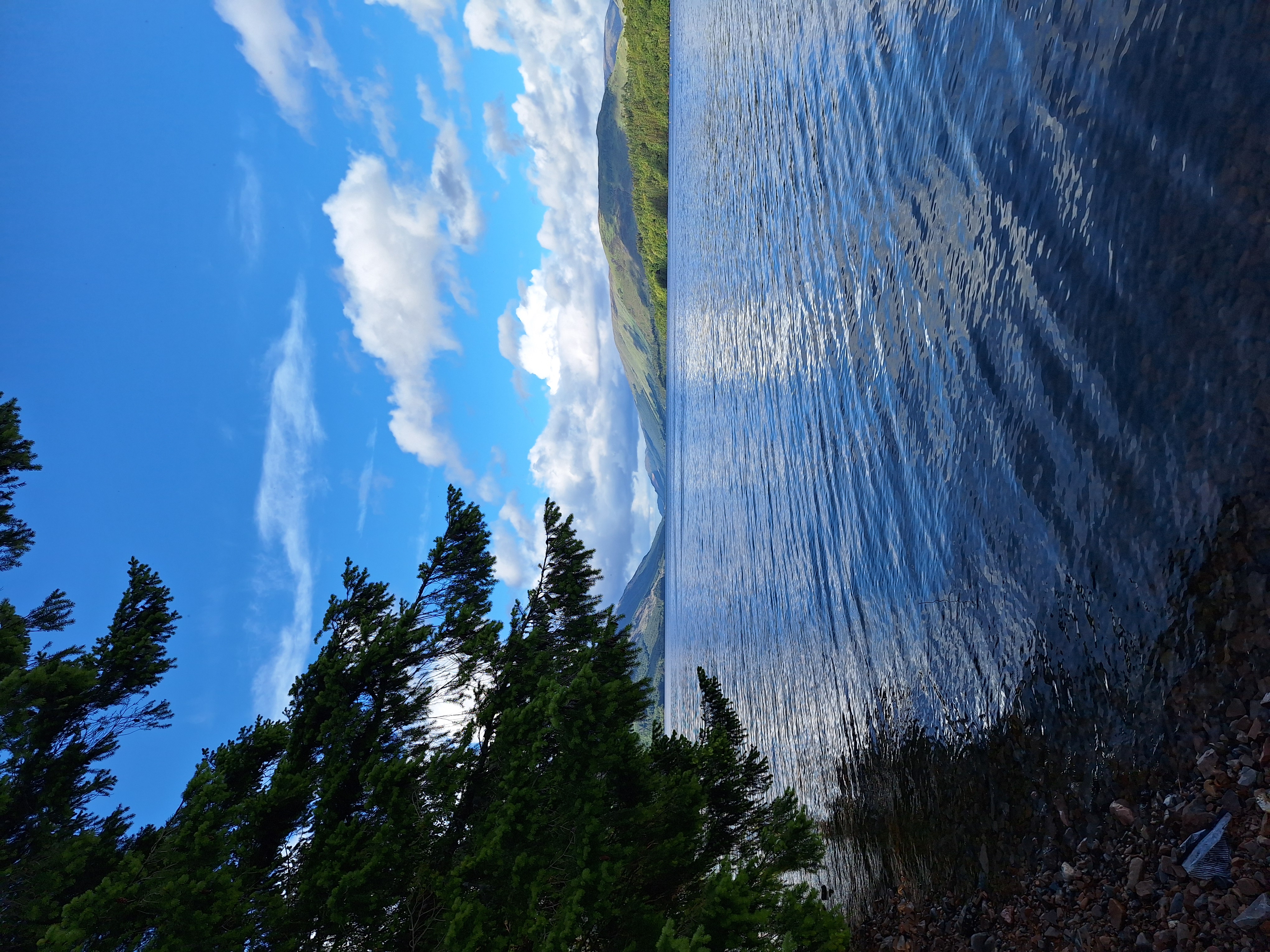 media_GGJWXBGC58QSBK4V