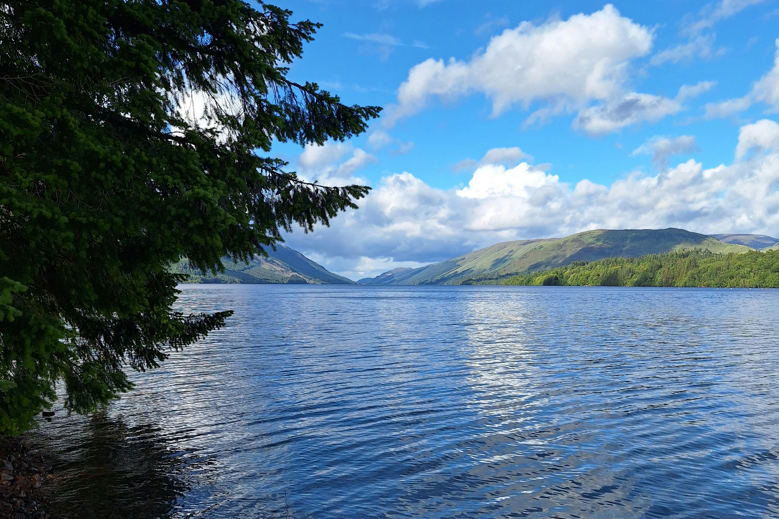 media_GGJWXBGC58QSBK4V