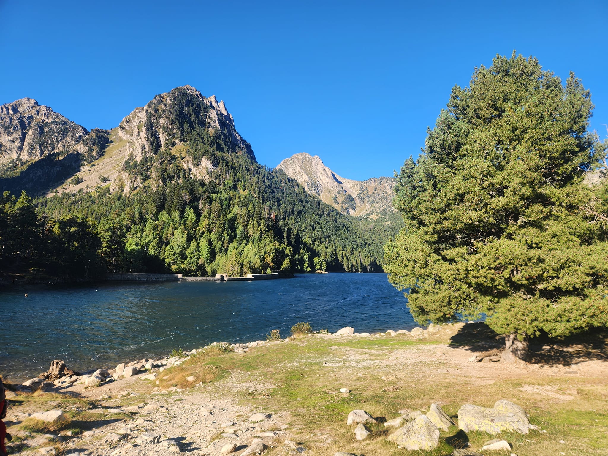 media_6ACZKWW92D9M3FMG