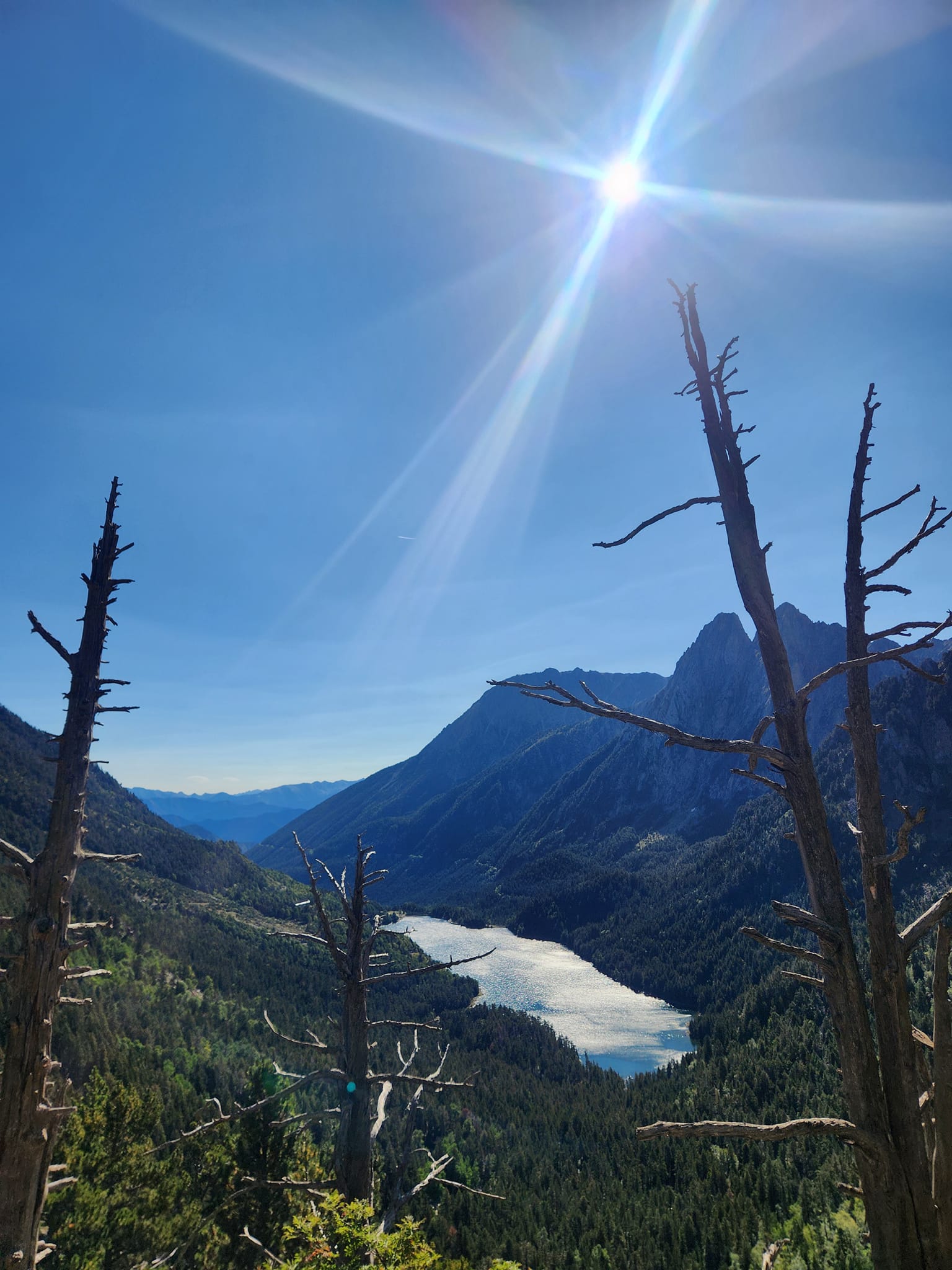 media_NVTJJ7L9Z5MQ68MP