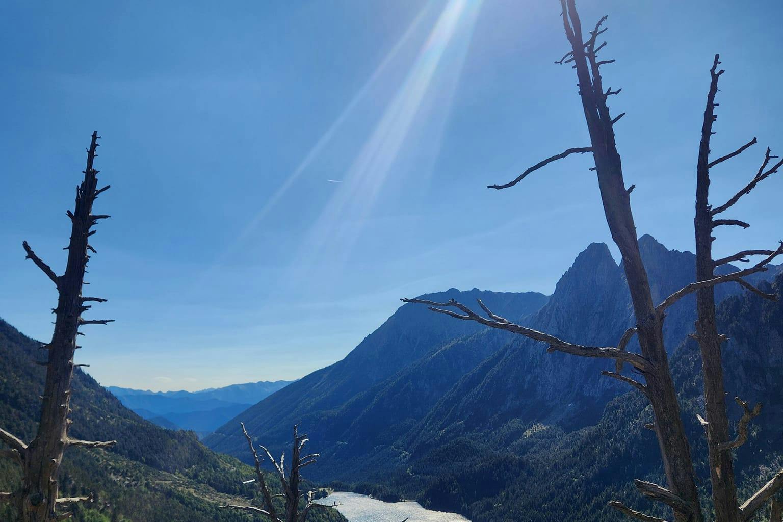 media_NVTJJ7L9Z5MQ68MP