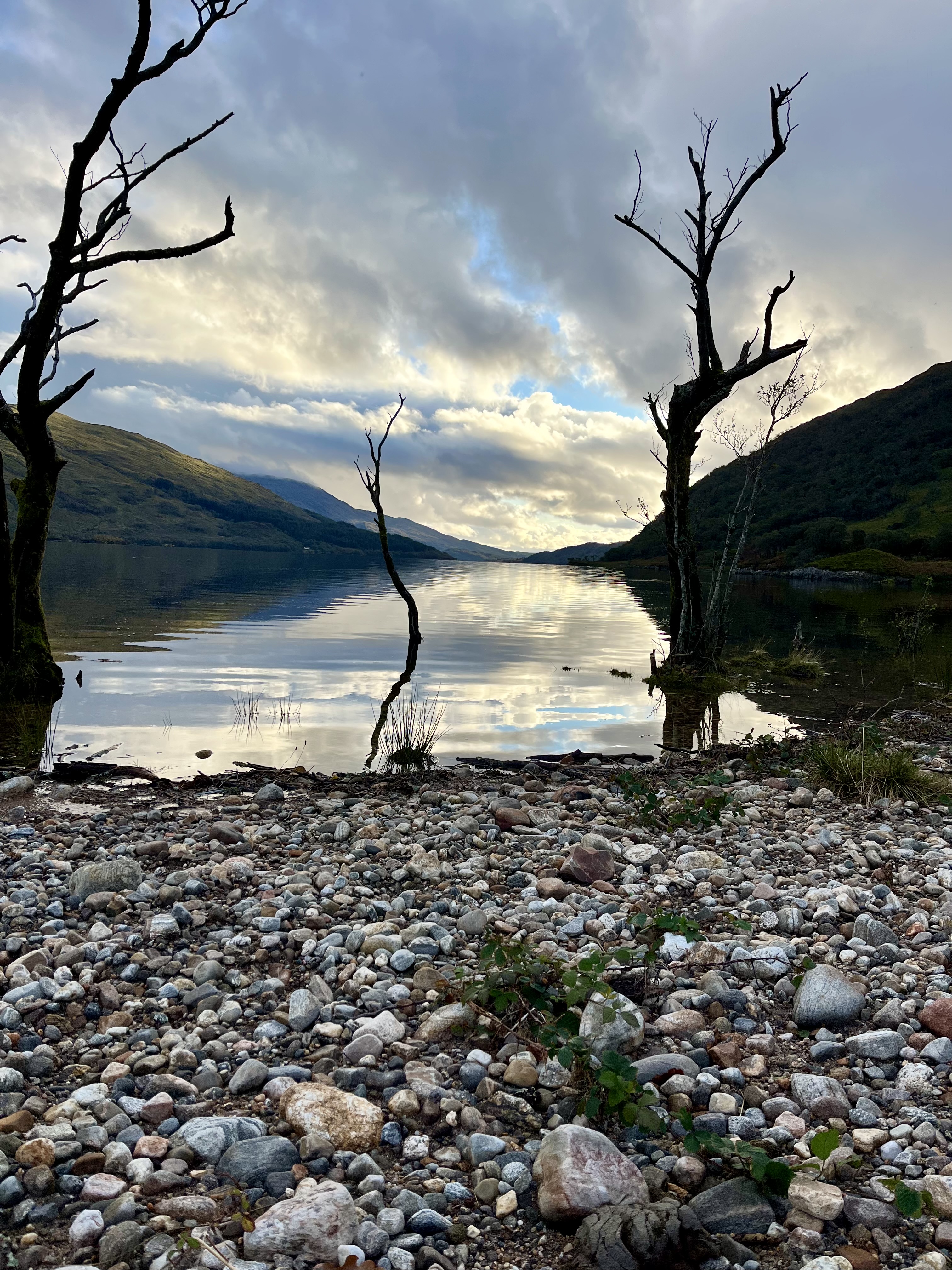 media_RLAPLYPUALMHZ8EH