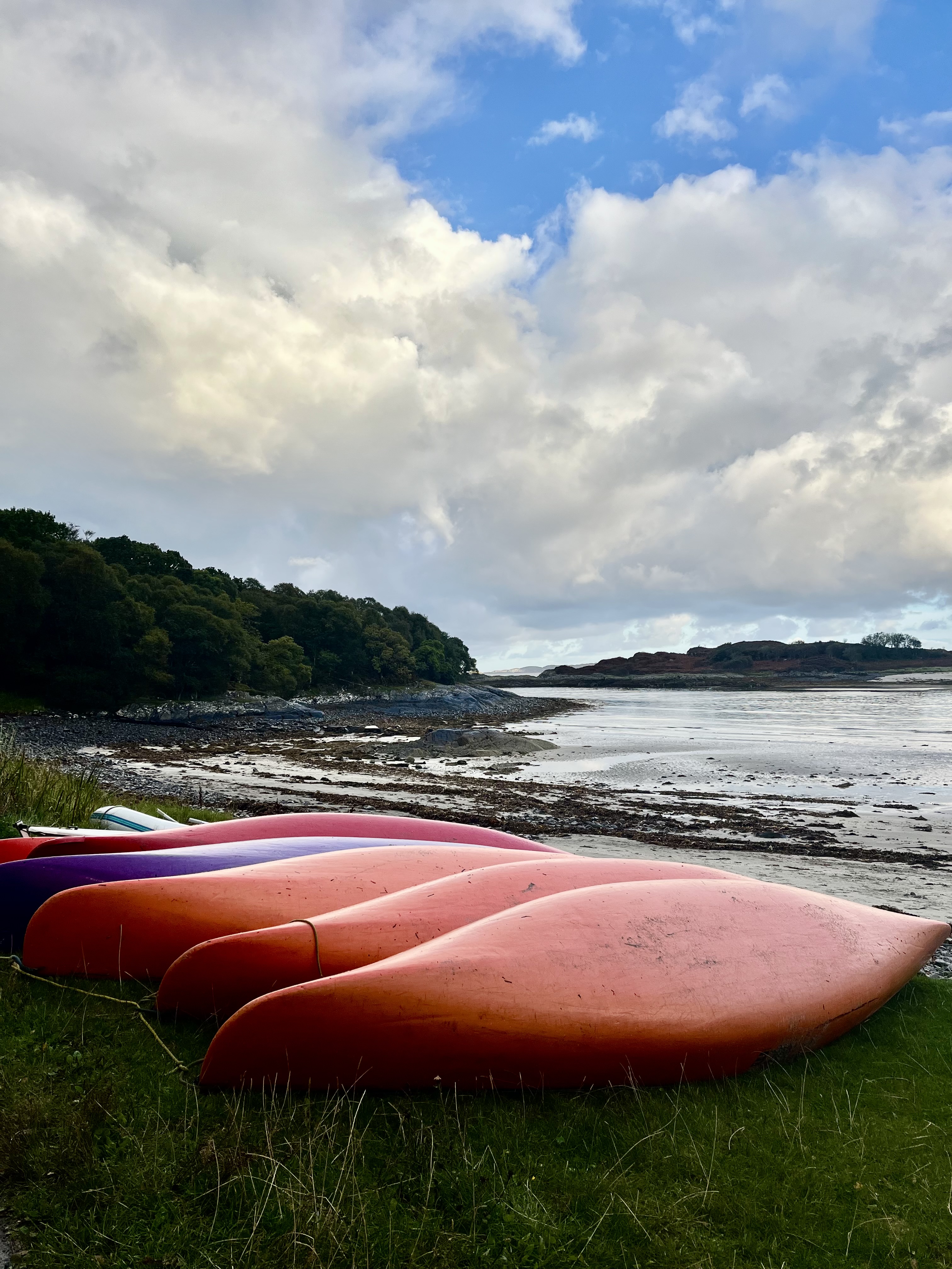 media_SCHC8T7VVB47Q23Z