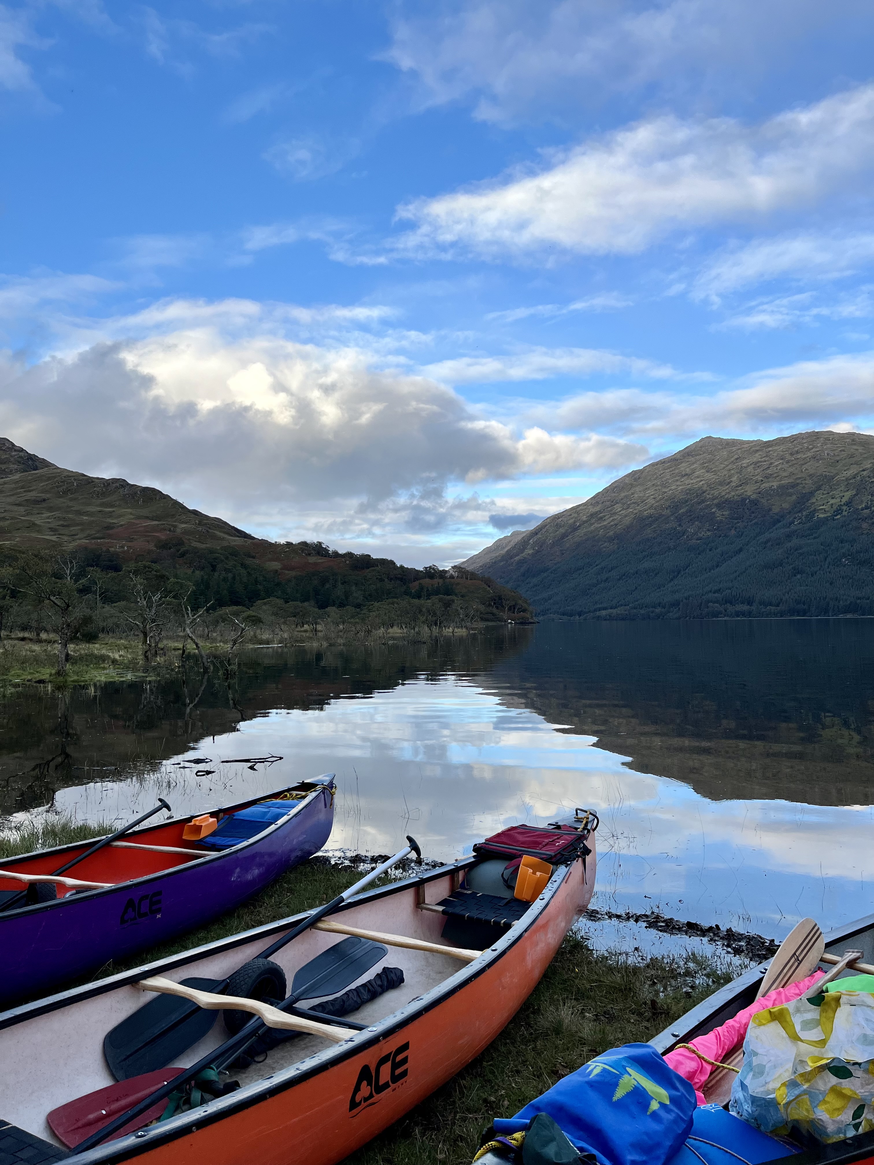 media_VLQCYQMKXDQF5UQ9