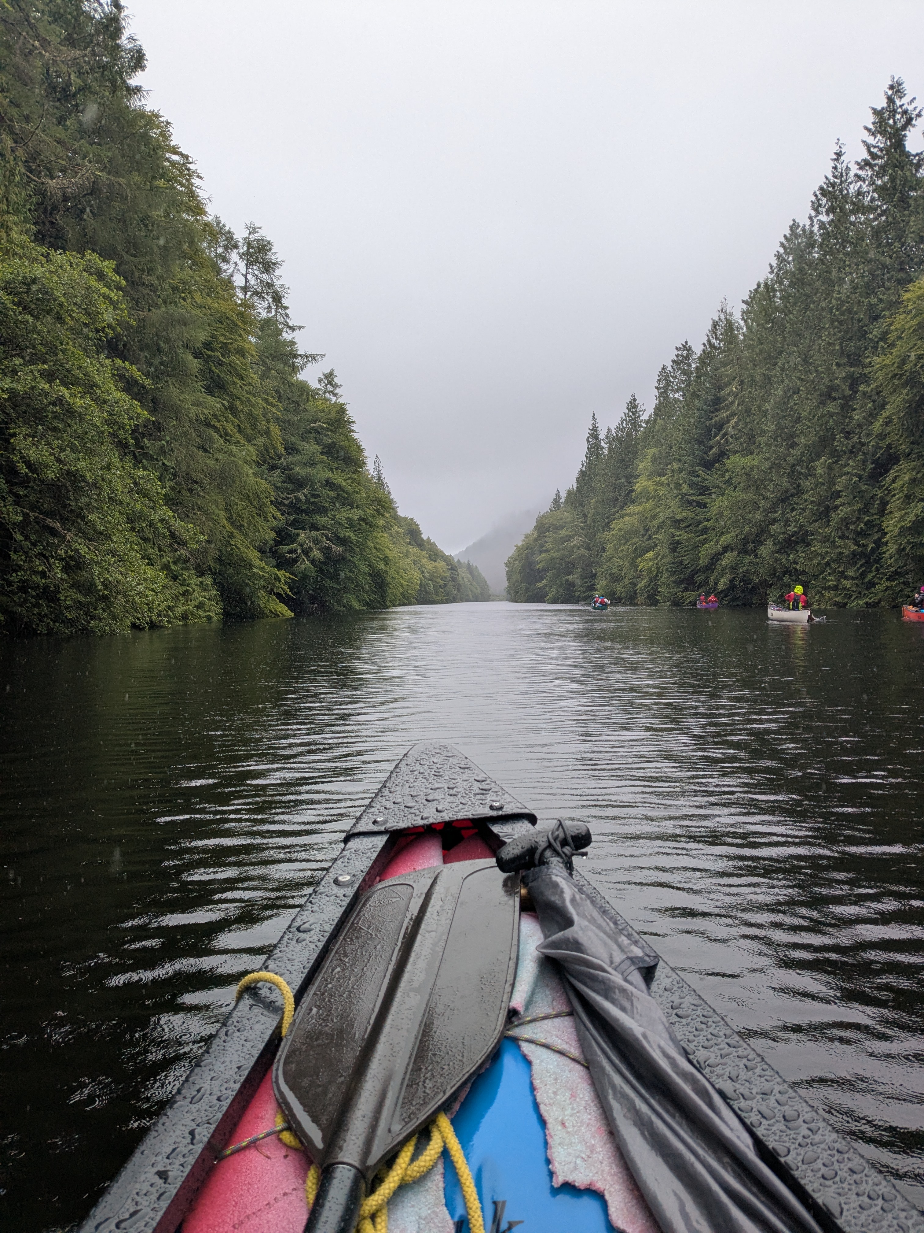 media_PFZABL78PLKARMW2