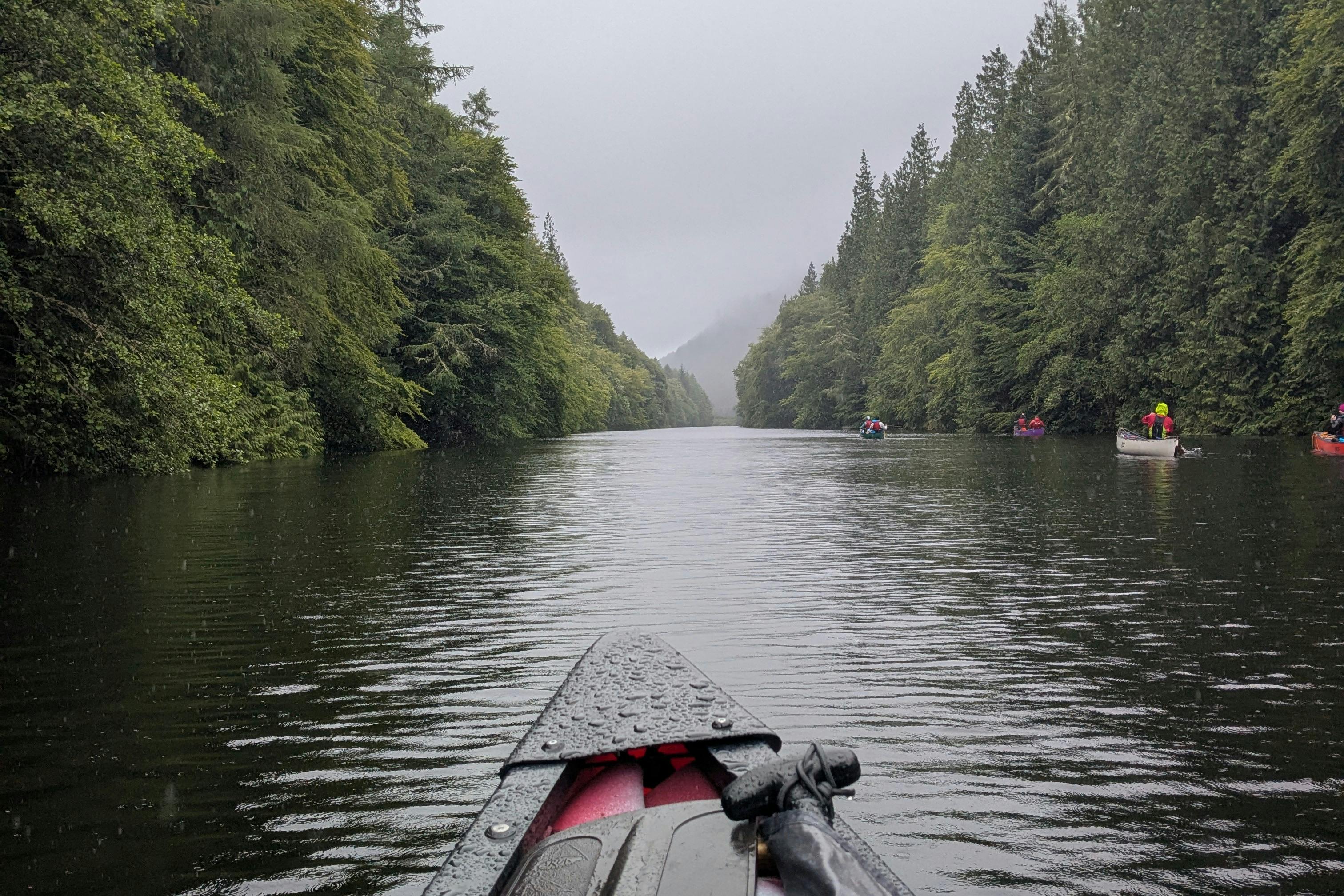 media_PFZABL78PLKARMW2