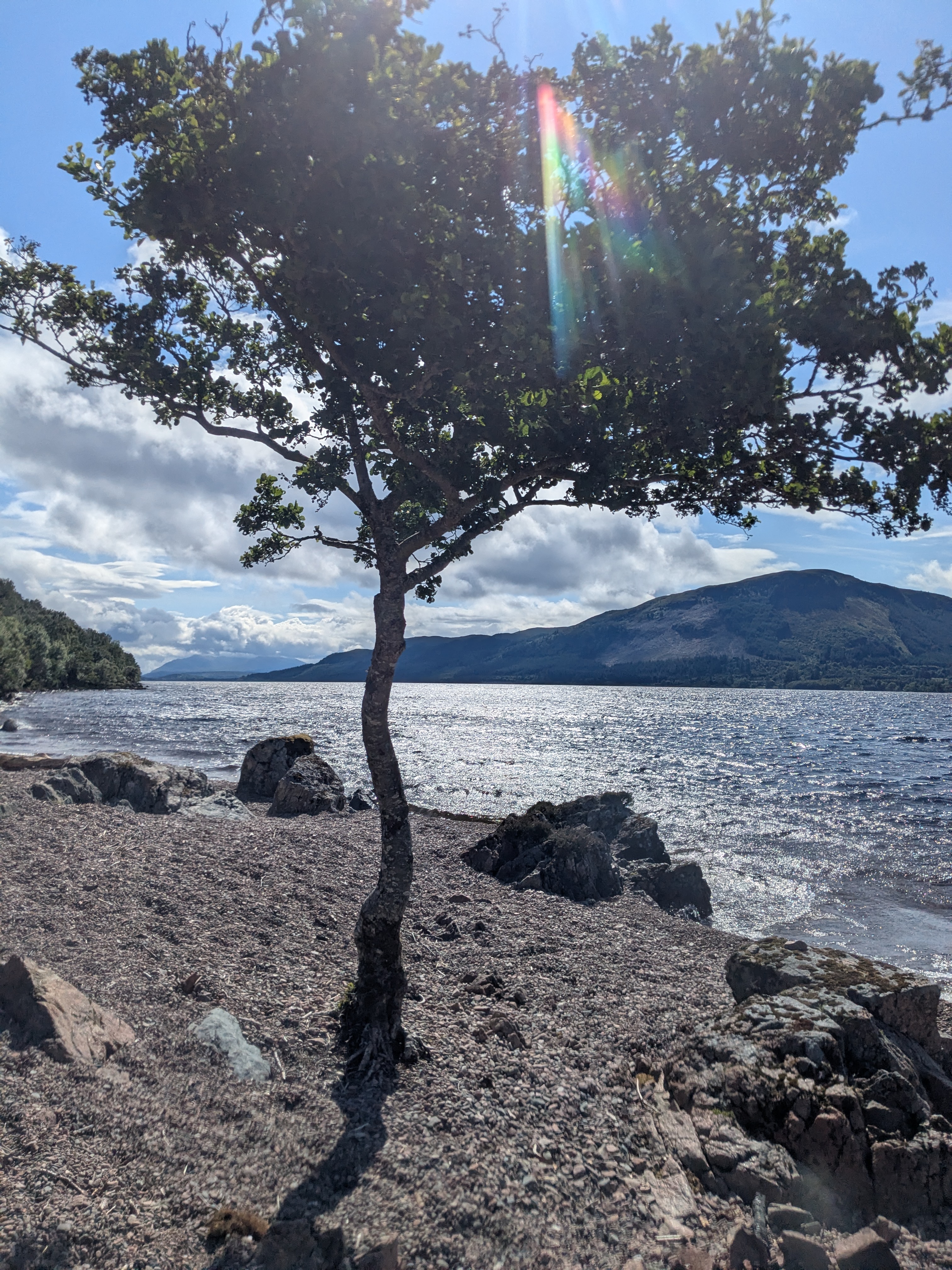 media_RE7ZP8935BTLS687