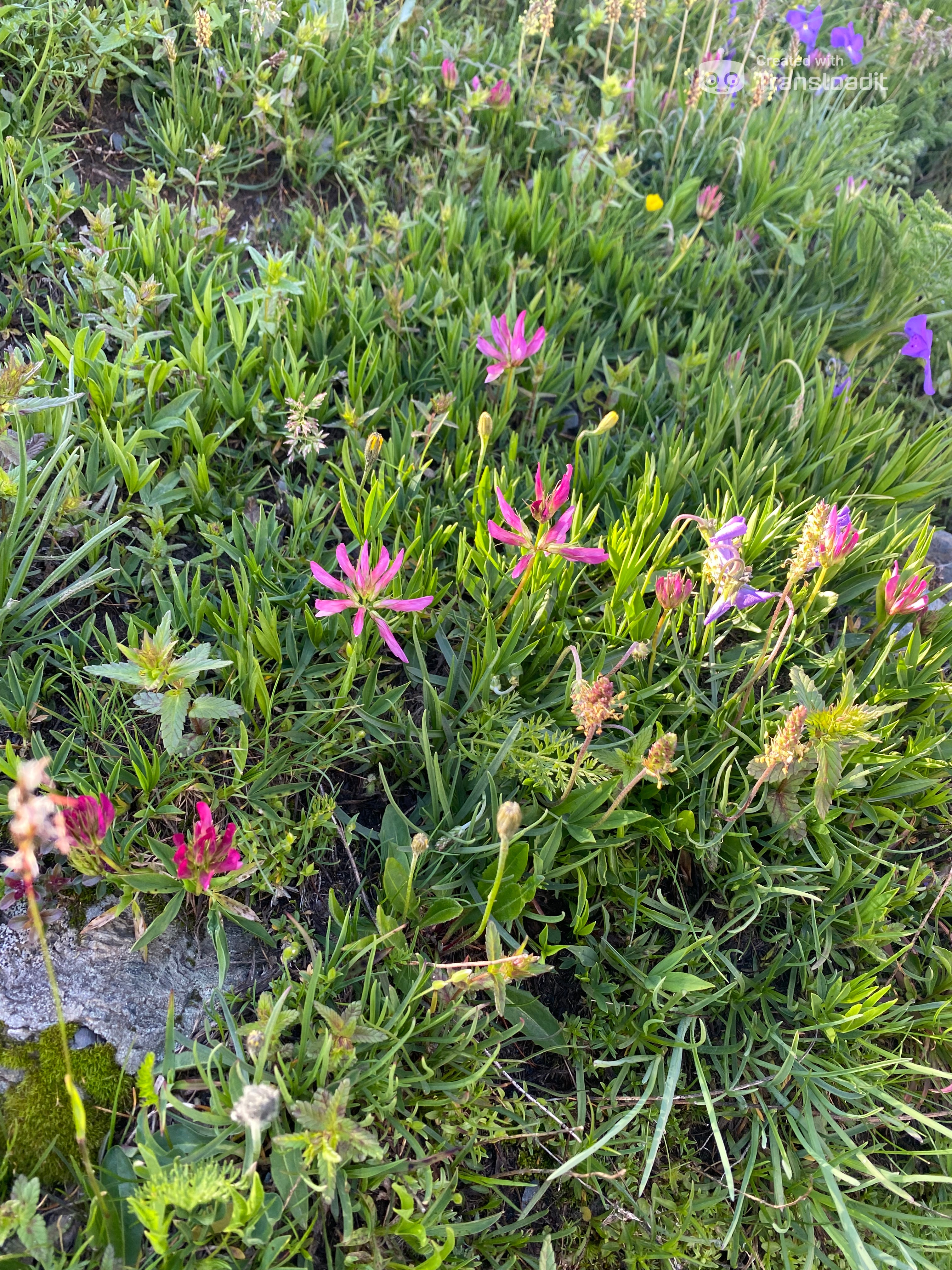 media_676GYDX7LHVLW3HM