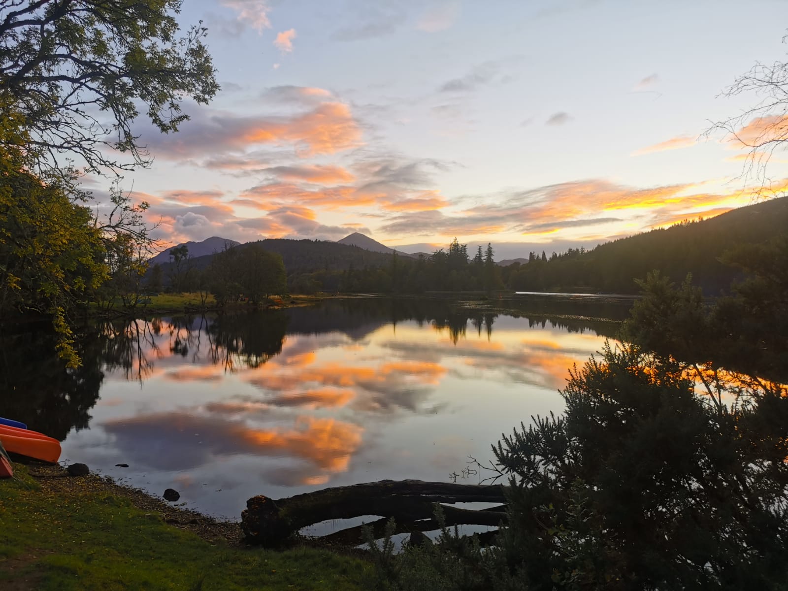 media_3RQY5RERRWYEXSHG