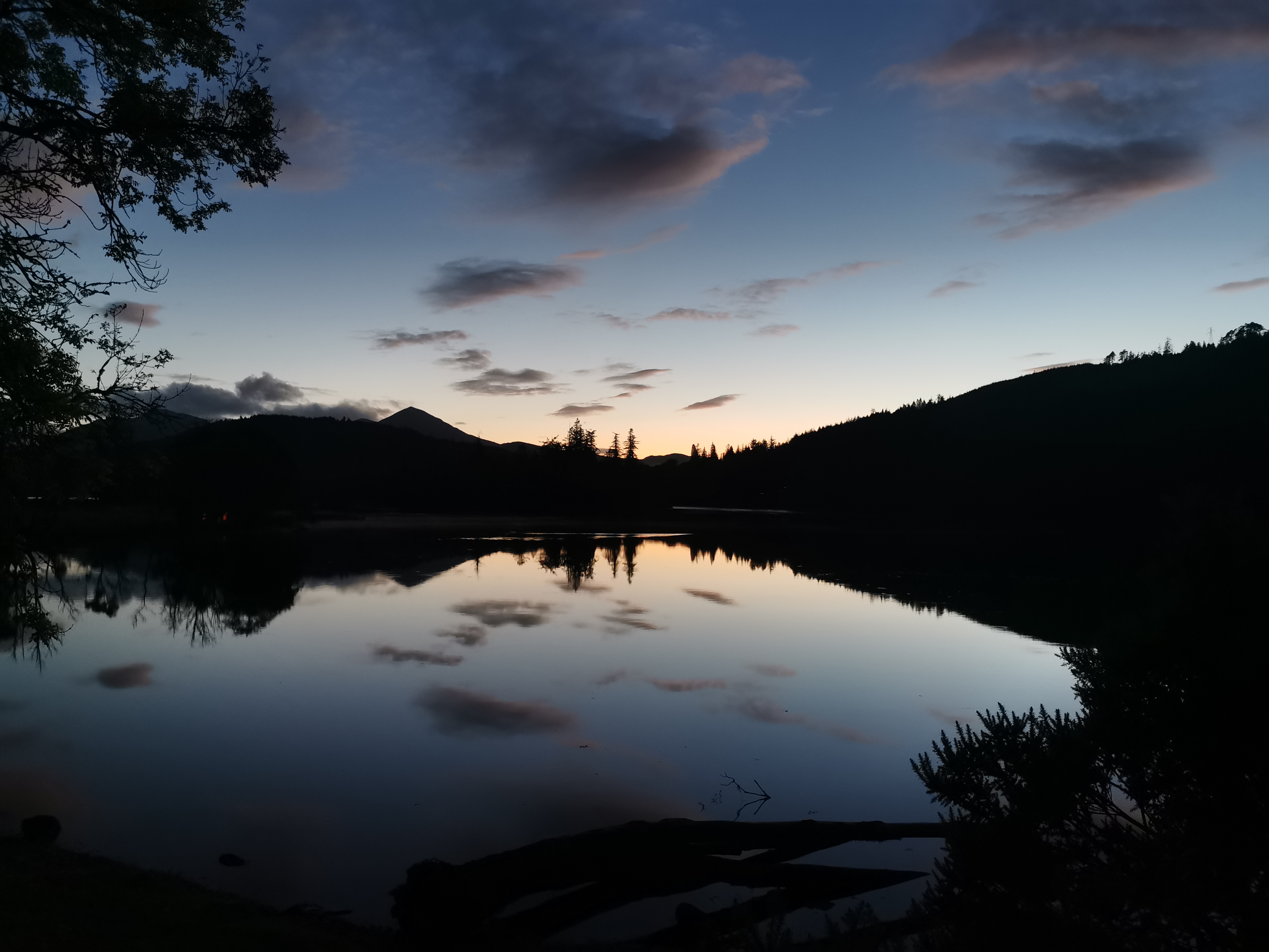 media_SDQ4BUEAR8XXVS9E