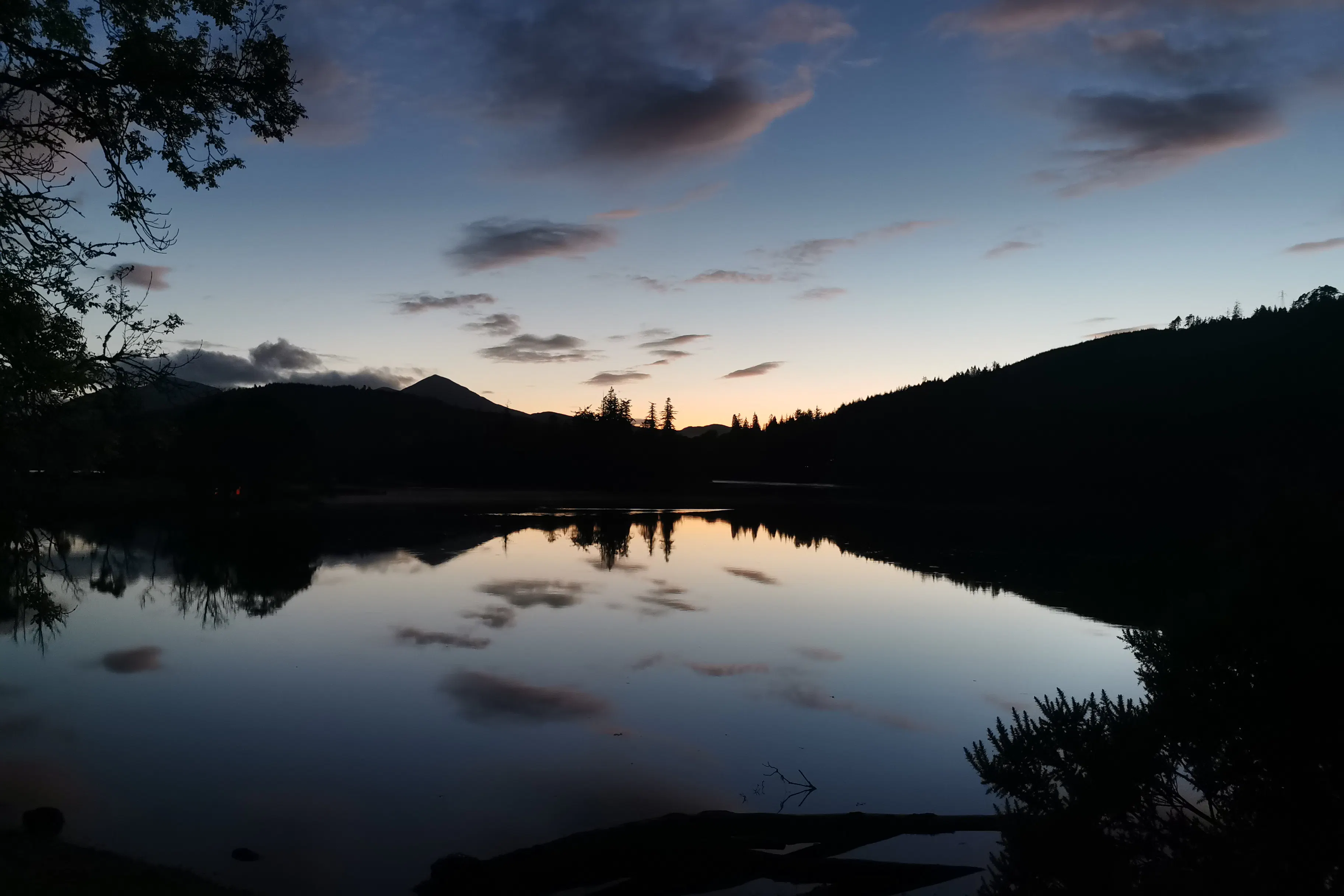 media_SDQ4BUEAR8XXVS9E