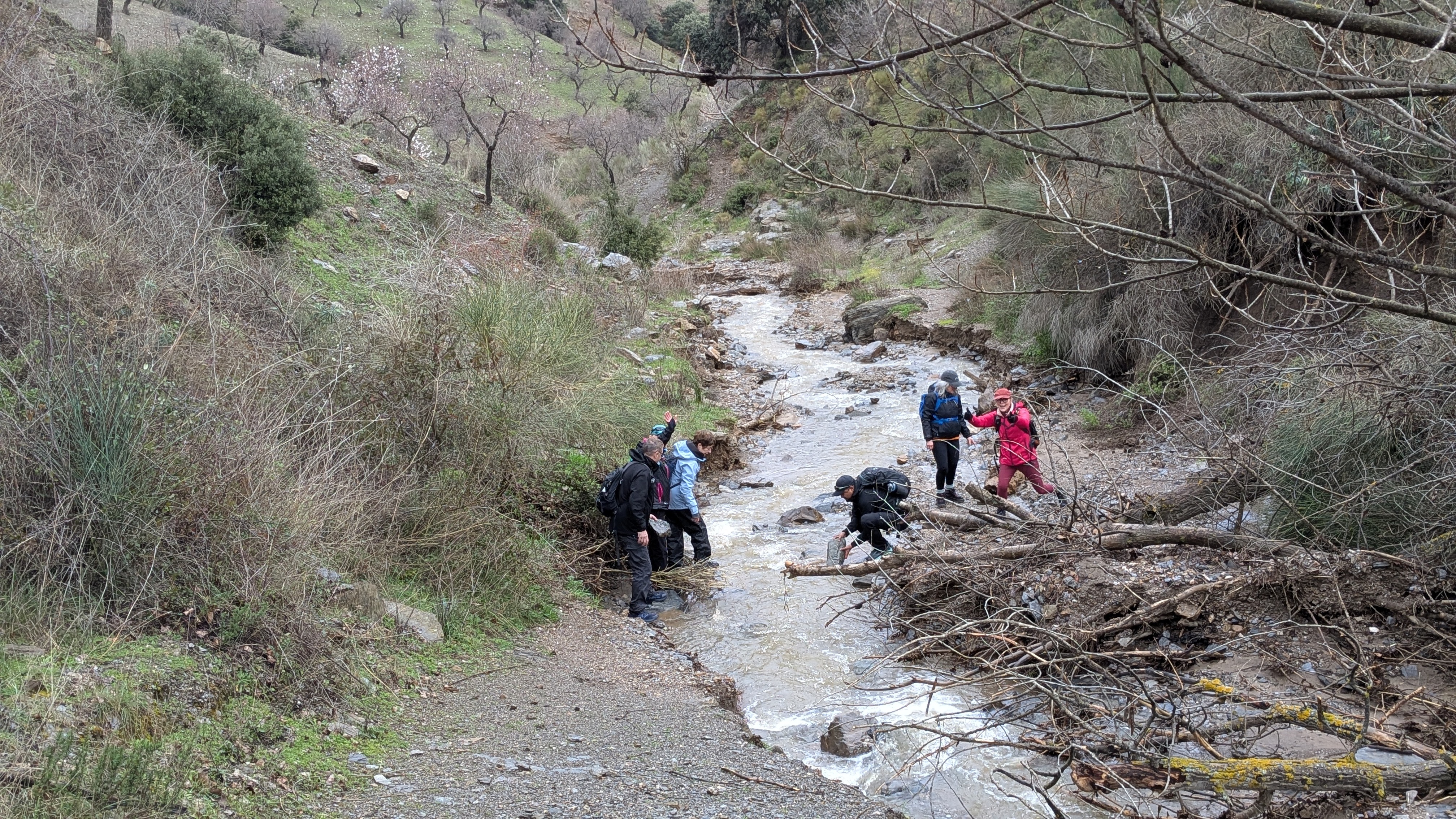 media_VDPQCE2HDRRF5FAF