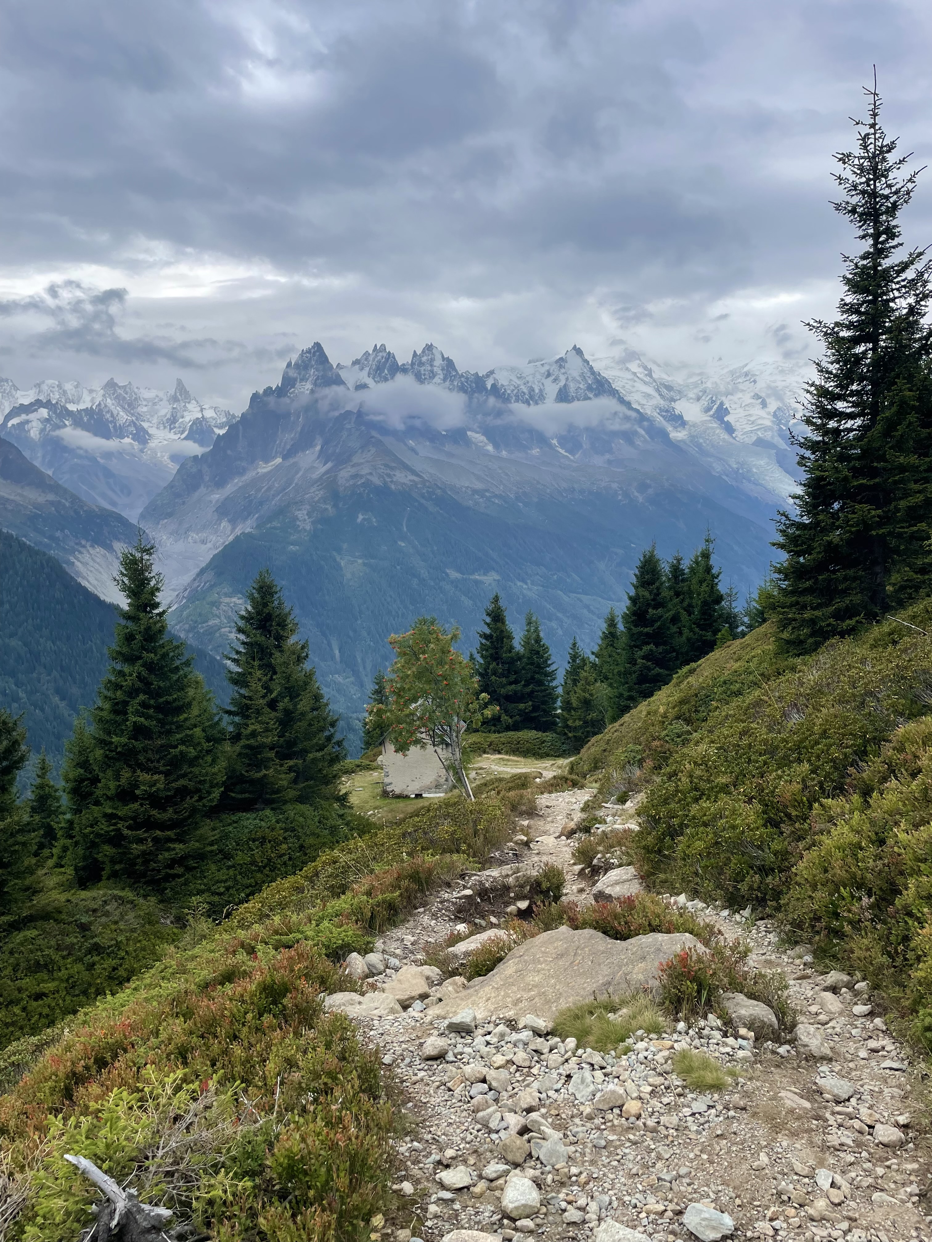 media_ERTBTG9N9S9A8D6R