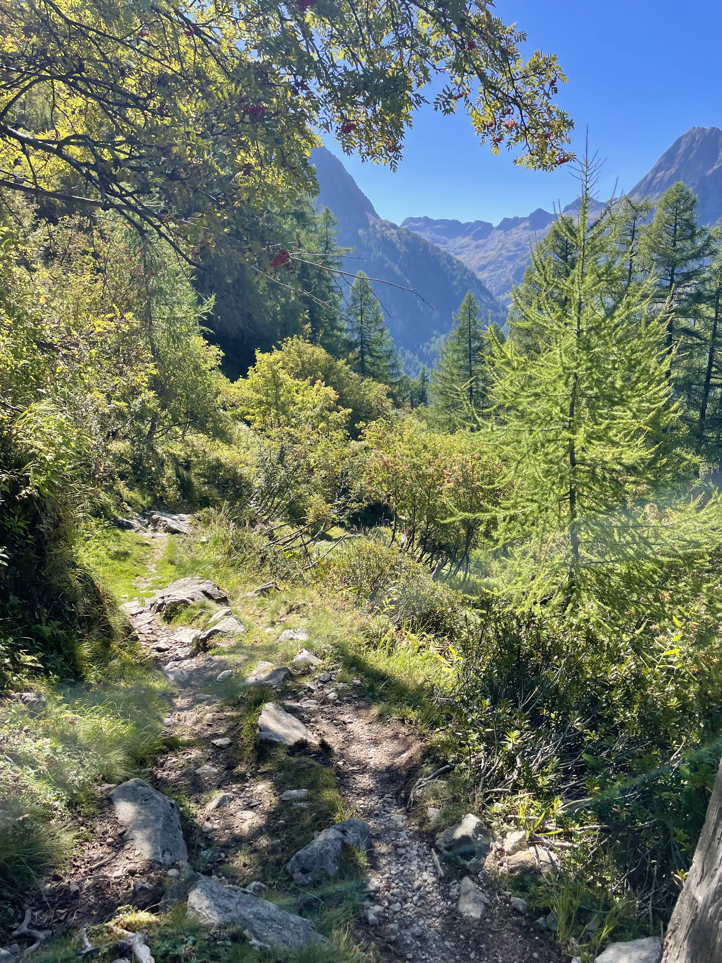 media_Q2UK9SNVLPPDCCZV