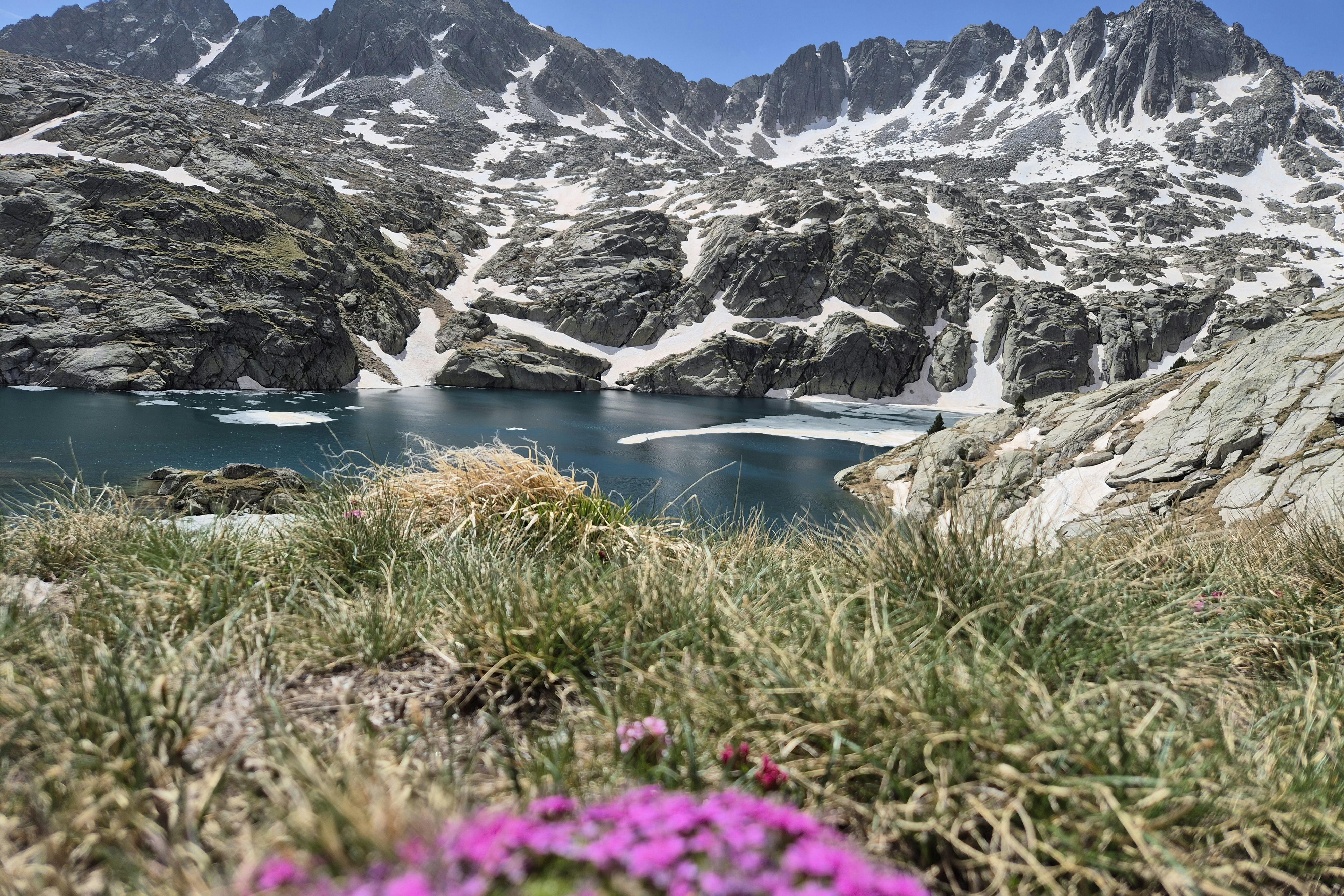 media_747QKQHYY48MD8Y3