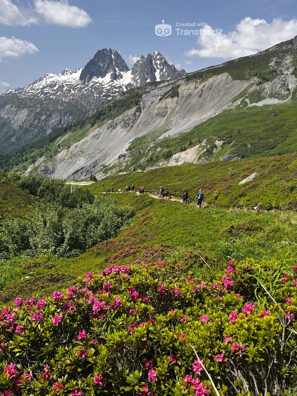 media_QJU48HEMHEKZ4TM6