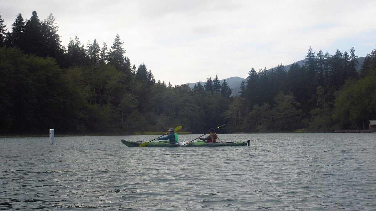 media_3MJHX3TBHGNHNAPU