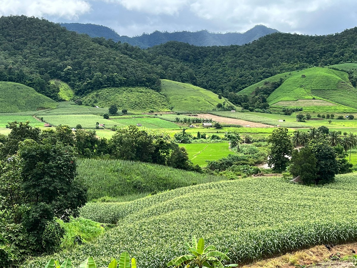 media_4AQYBM9JSVQLM9WA