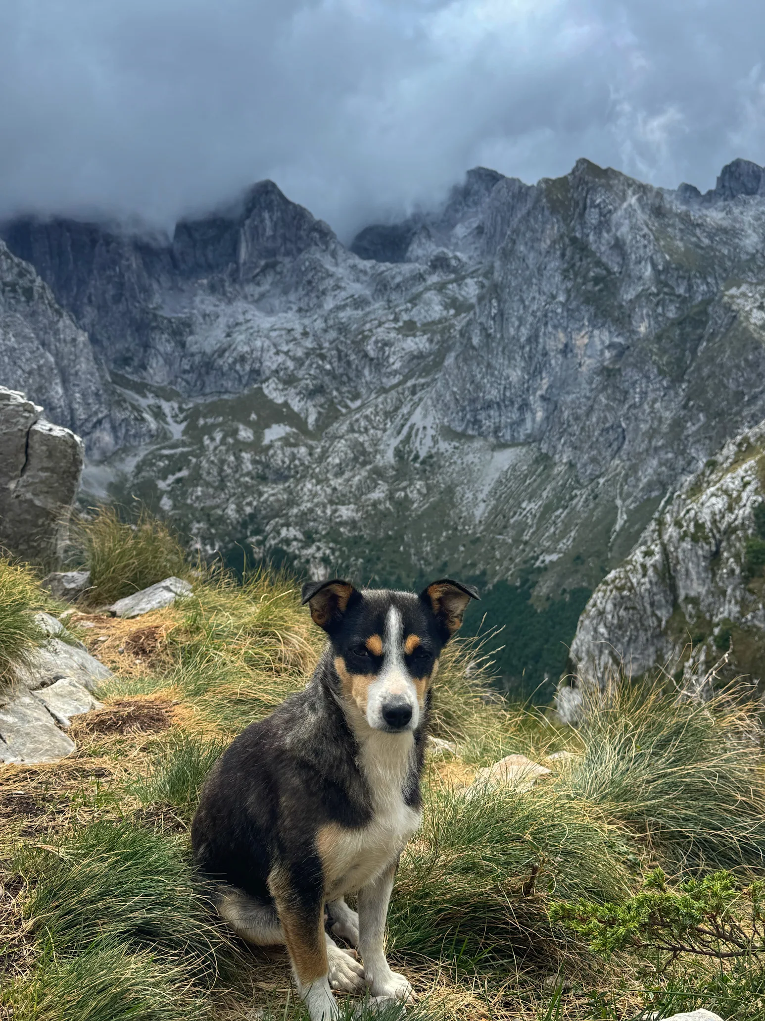 media_62JBUREP79G6CEPM