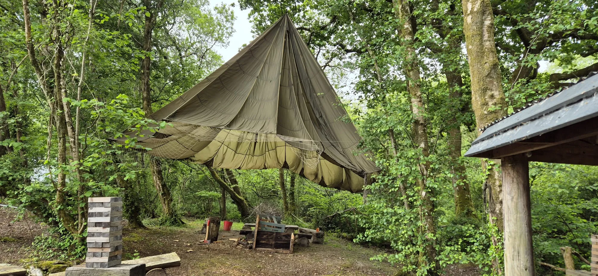 media_6N6WLSLP39SGAXB4