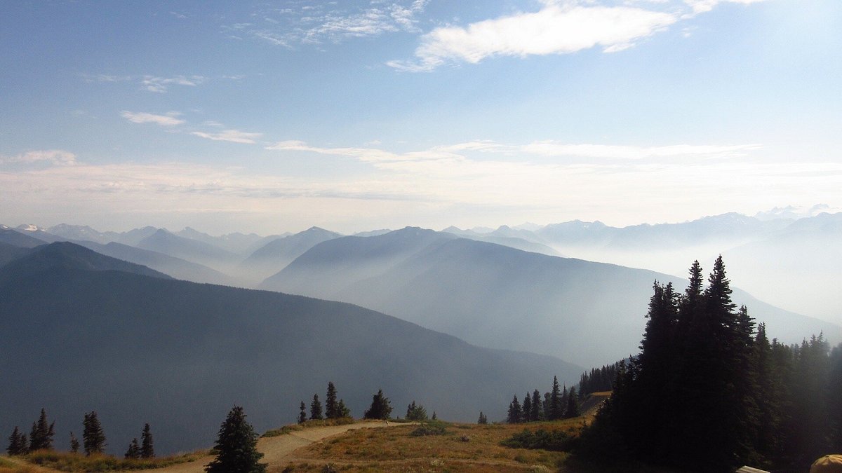 media_7JJPTXLNHJA24FDG