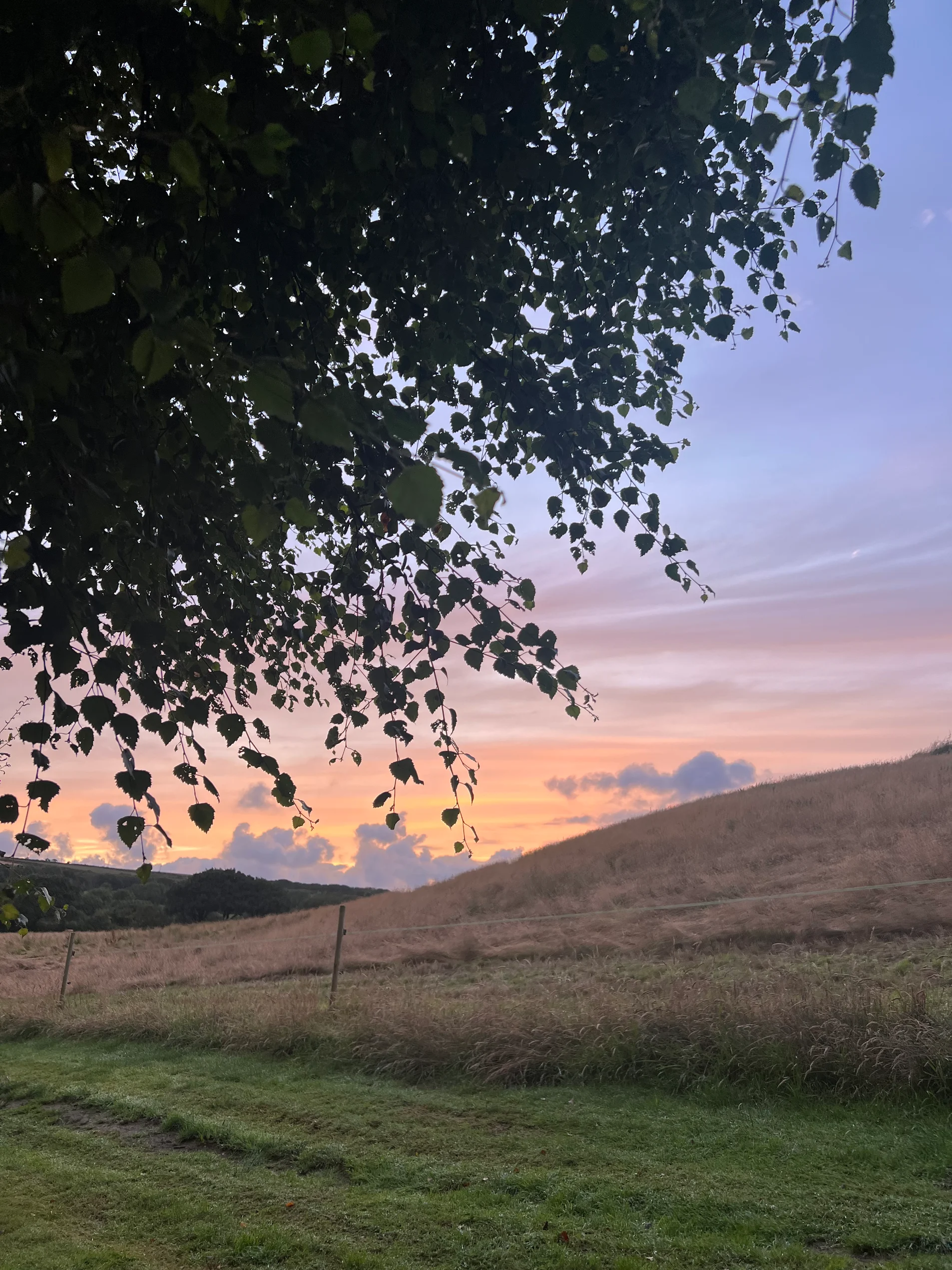 media_92FQLHDJ7R2NGQXU