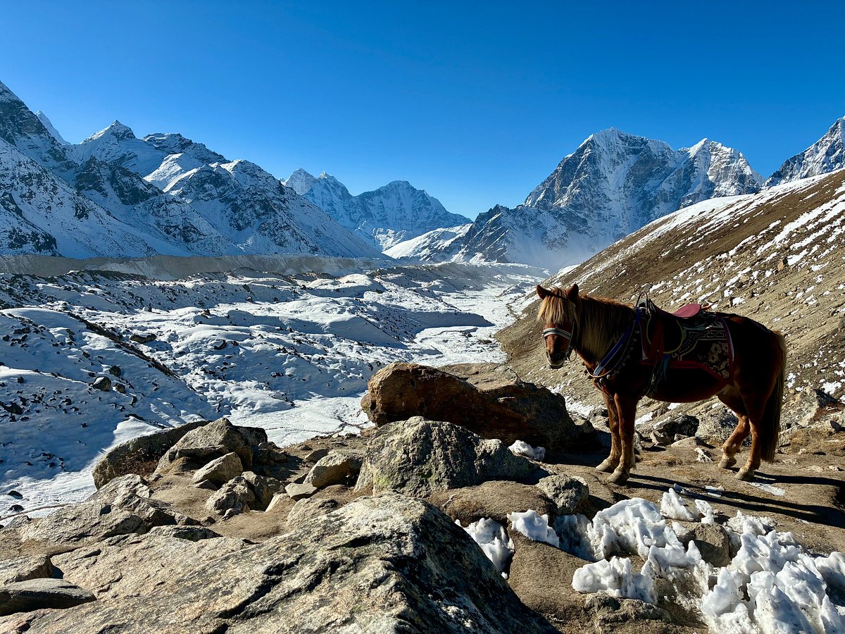 media_98PCNXPXQ6Y2X98Y