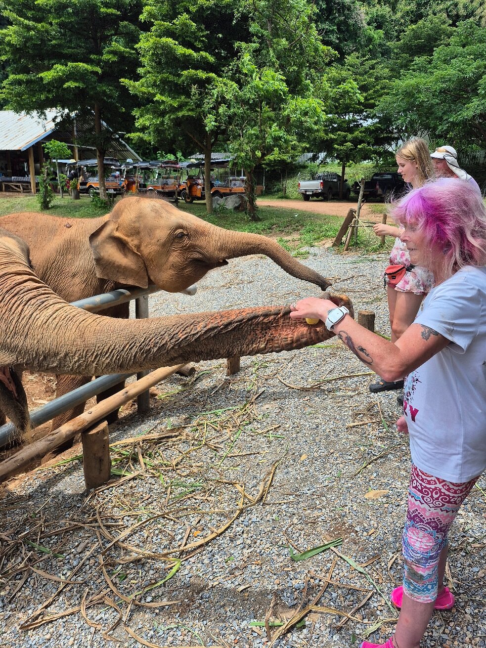 media_AZP6BG2EWPCPRR6U