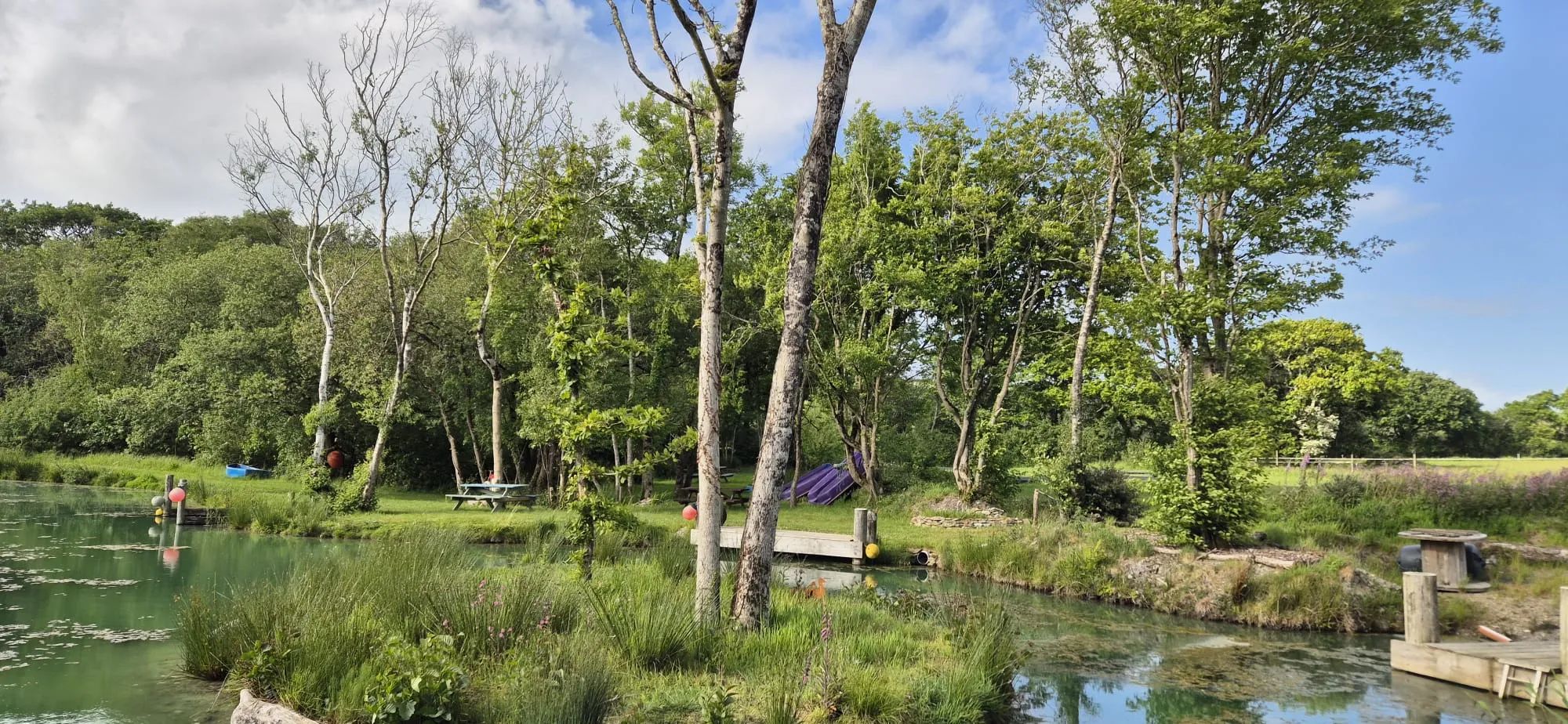 media_CBHSZB59PTEKRTWX