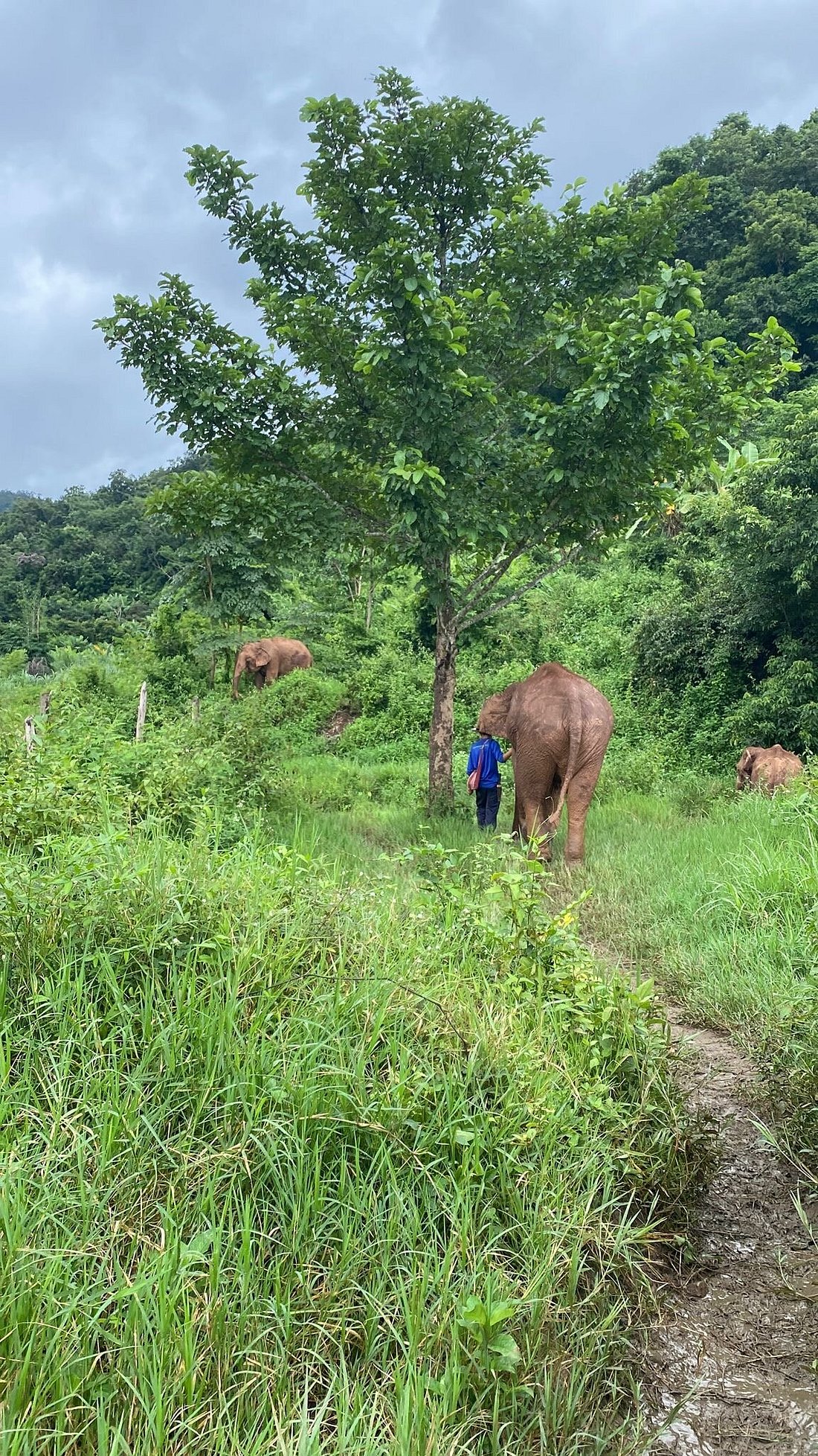 media_D59AYK8GX2BGCM32