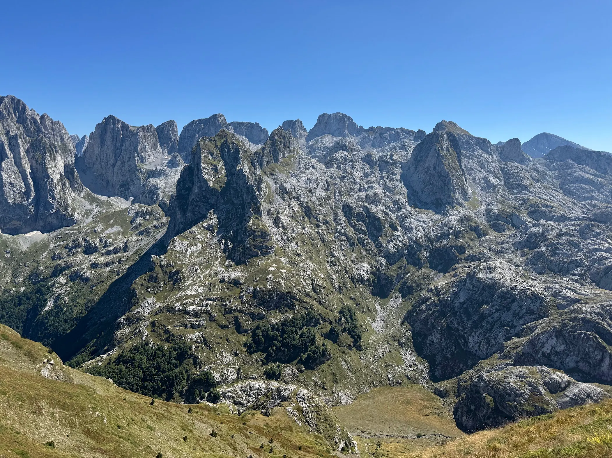 media_EE7CXNT38VRFRZ8D