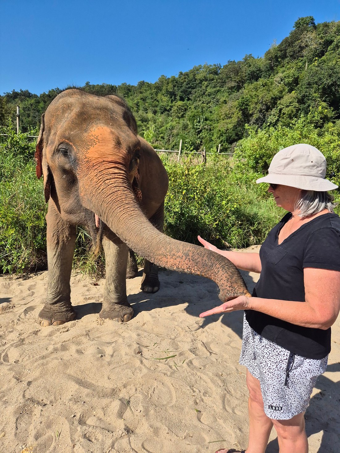 media_G75LPYB95QE82NXB